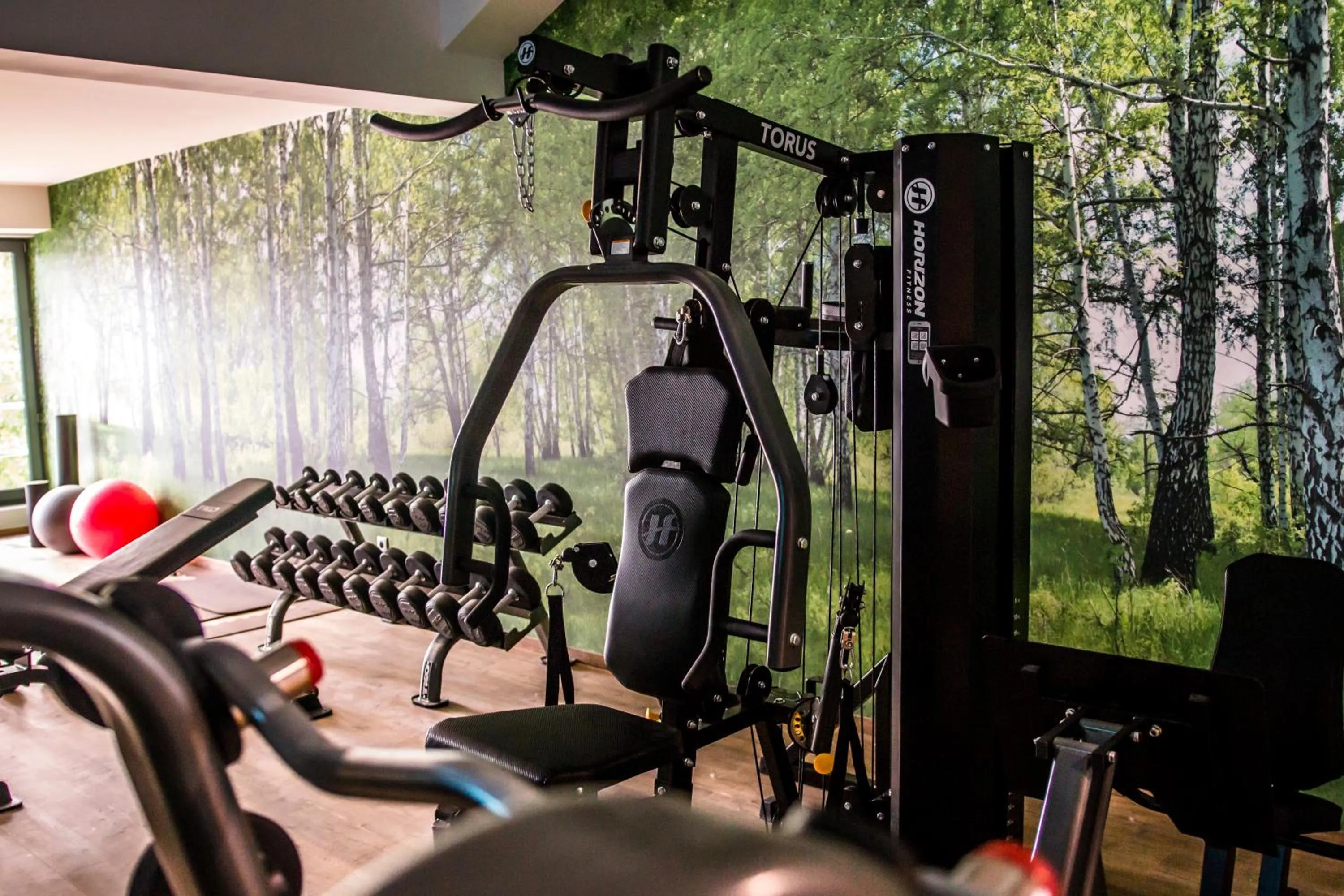 Fitness centre/facilities in Hotel Oskar Business & Spa