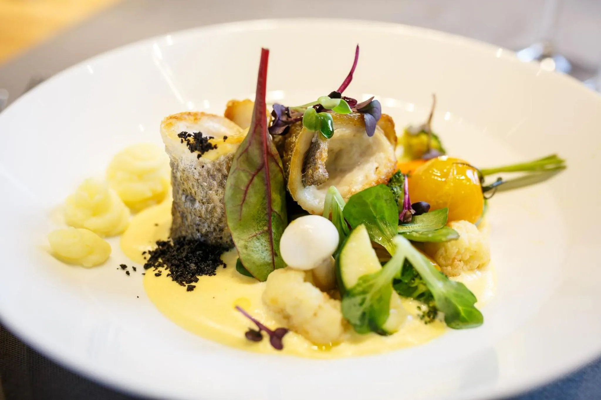 Food in HVD Grand Hotel Suhl Business & Leisure