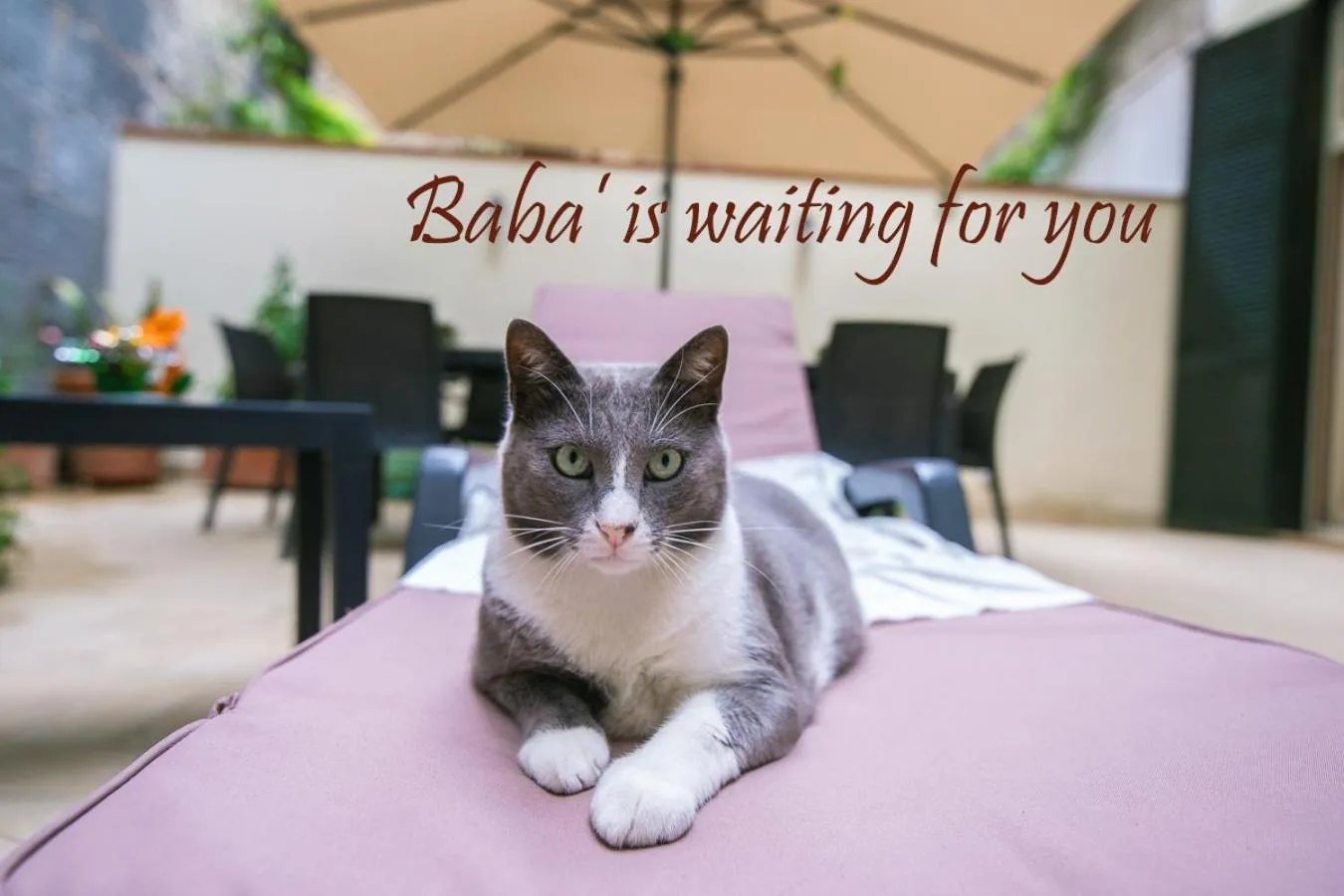 B&B al Centro Storico