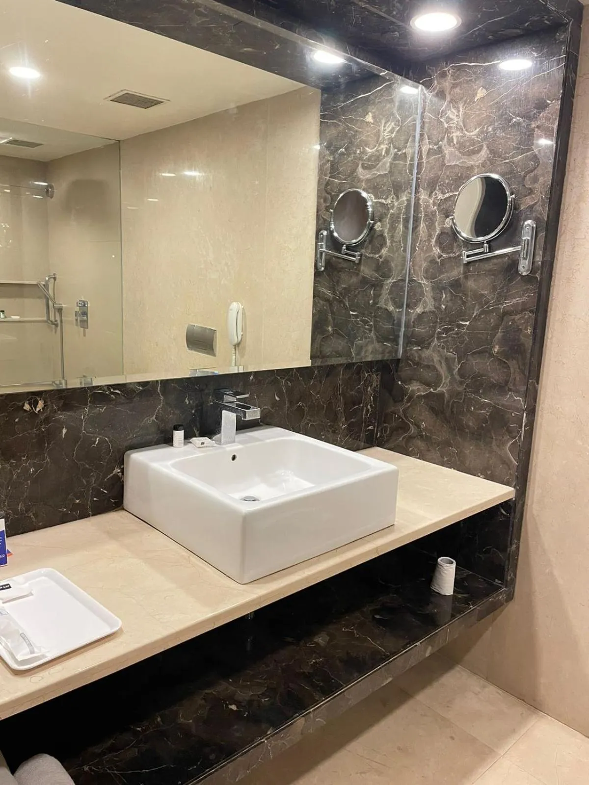 Paradigm Sarovar Portico