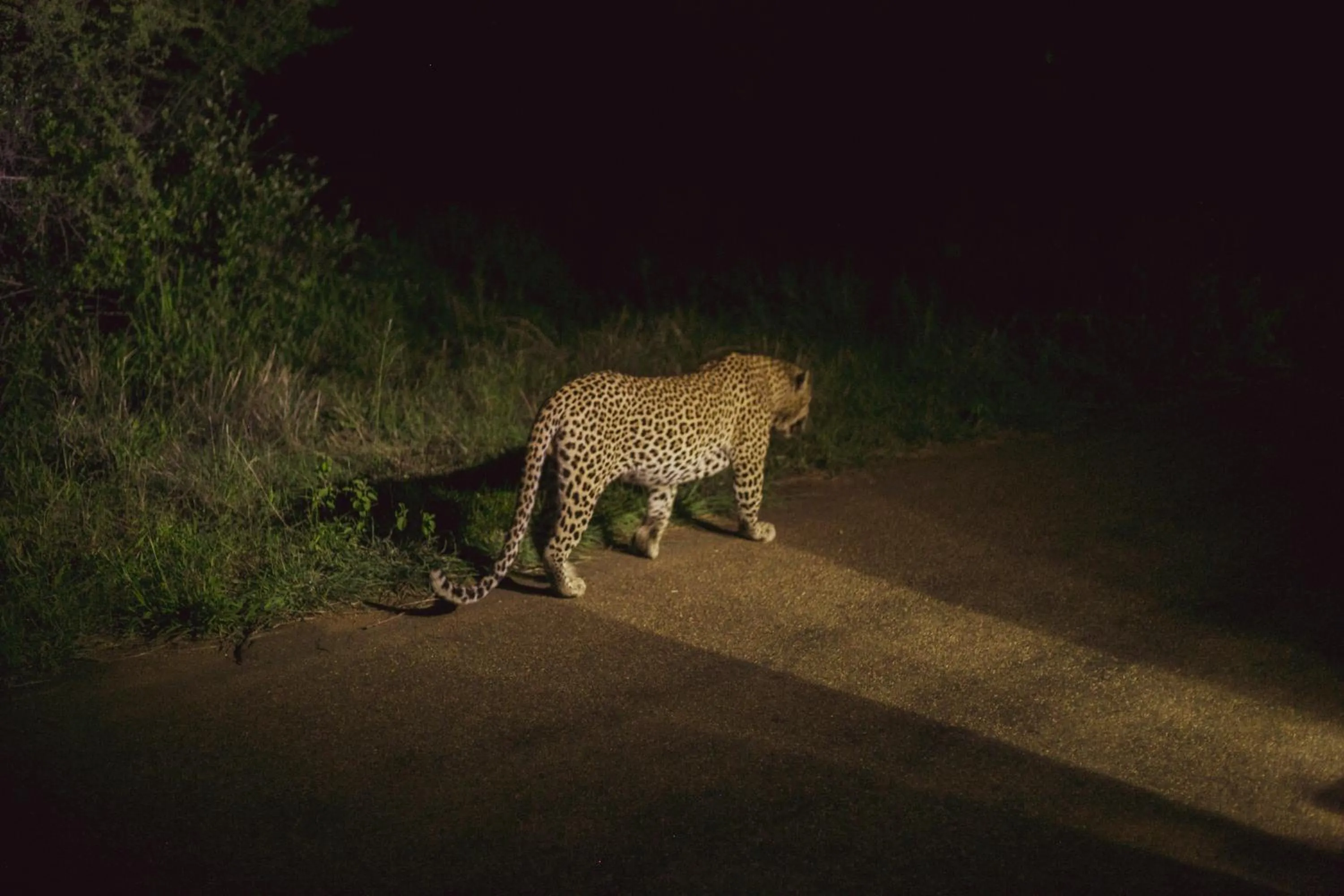 Activities in Imbube Safari Lodge