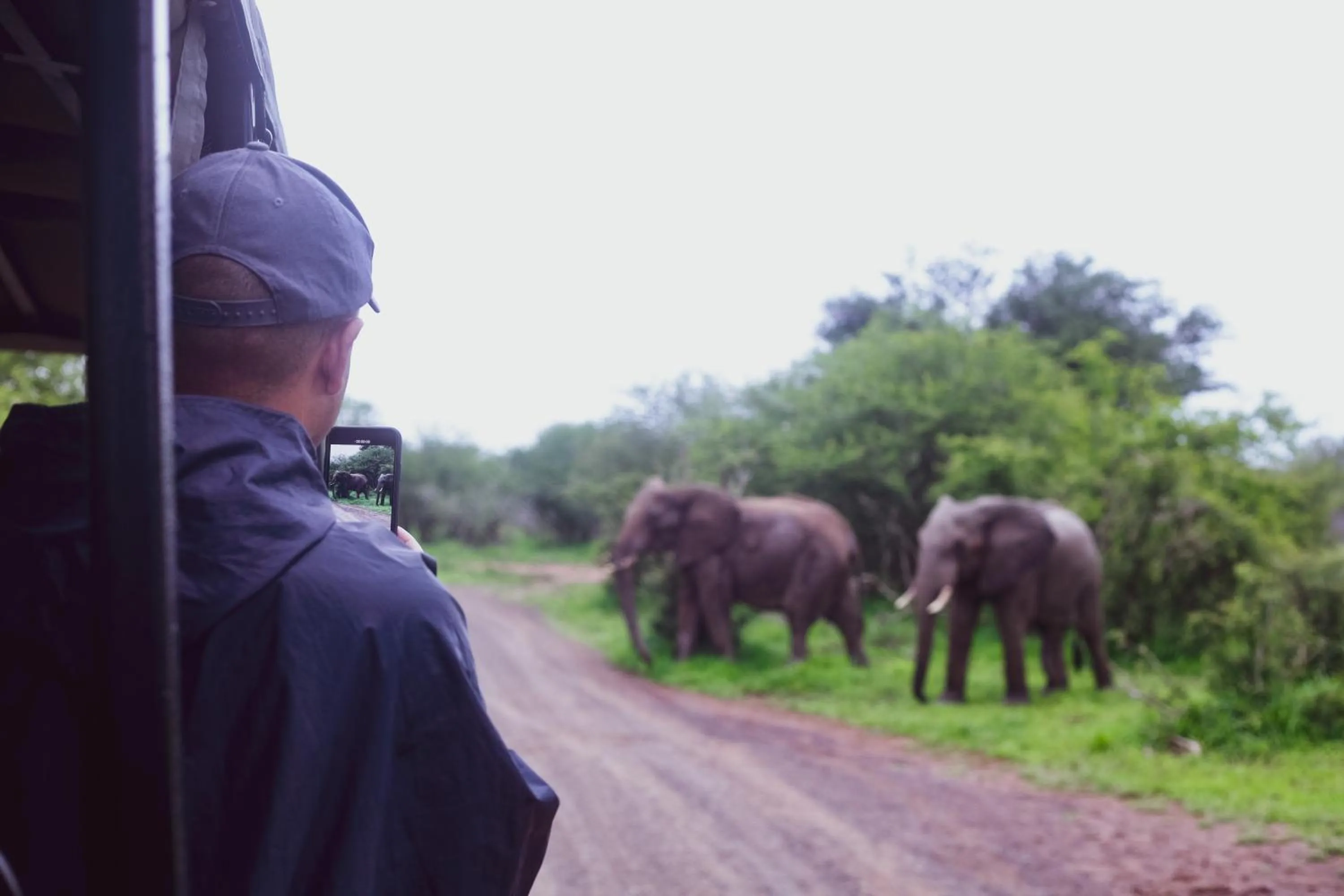 Activities in Imbube Safari Lodge