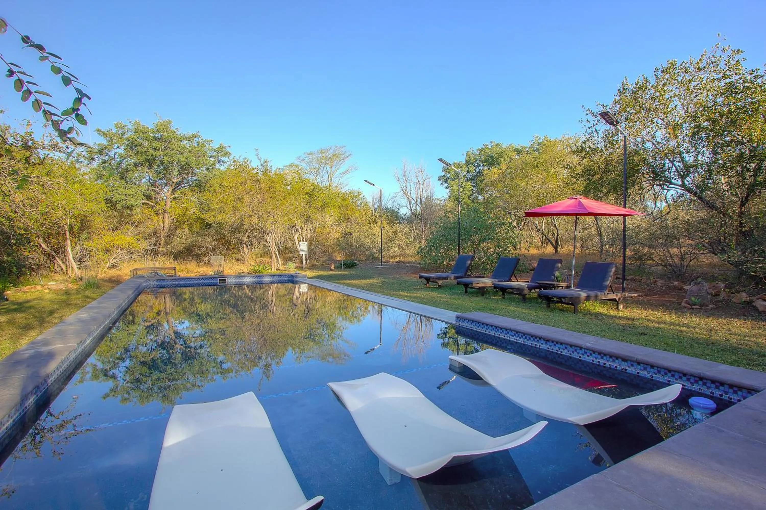 Garden in Imbube Safari Lodge