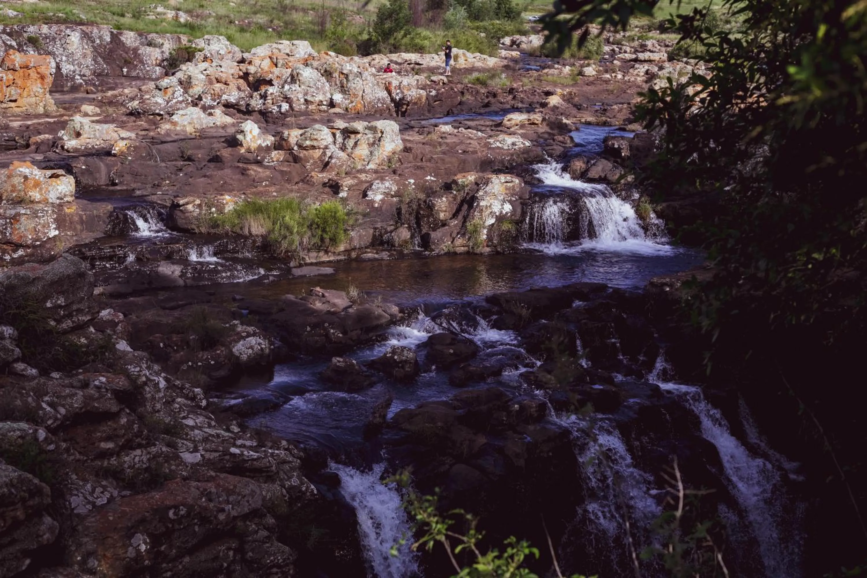 Natural landscape in Imbube Safari Lodge