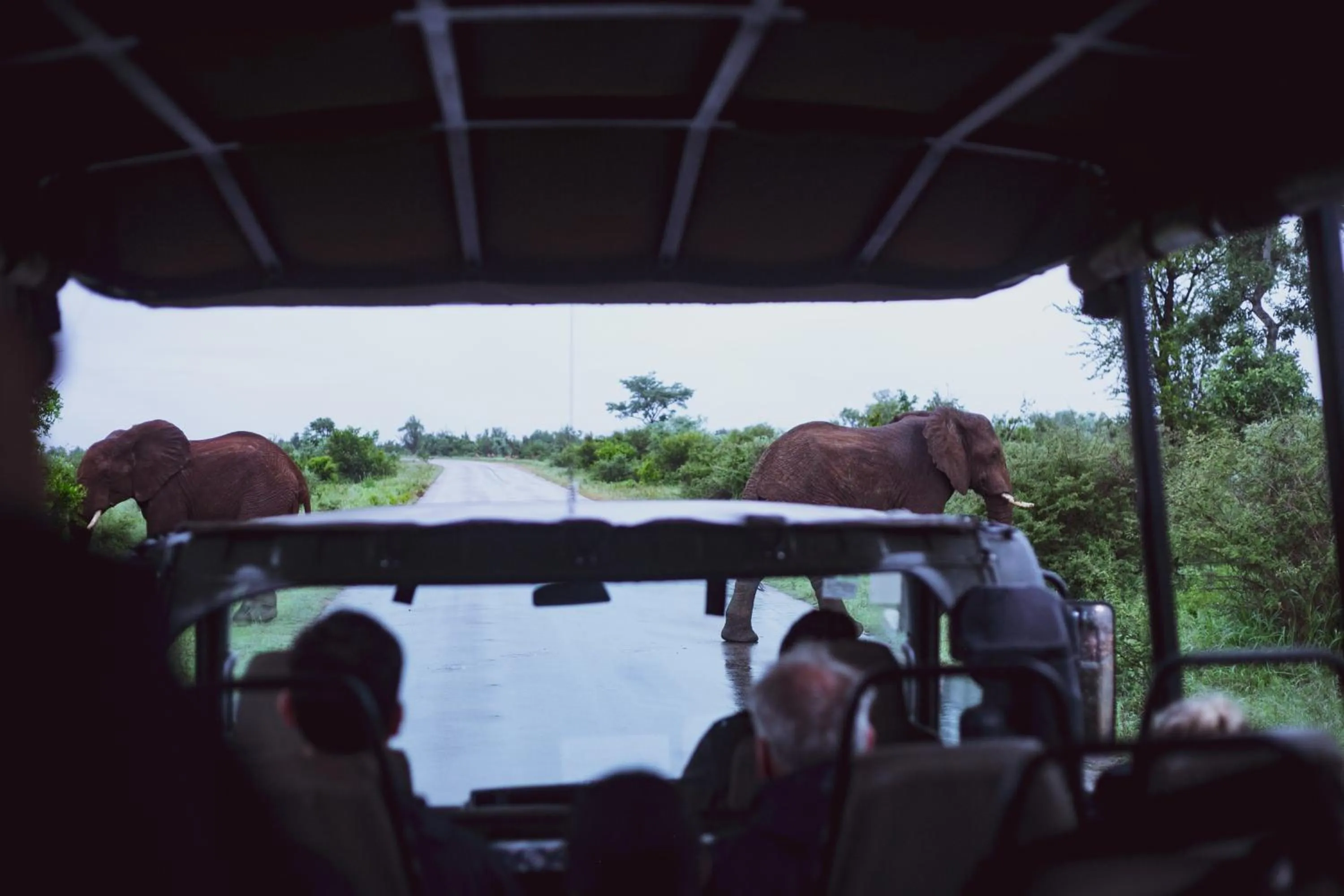 Activities in Imbube Safari Lodge