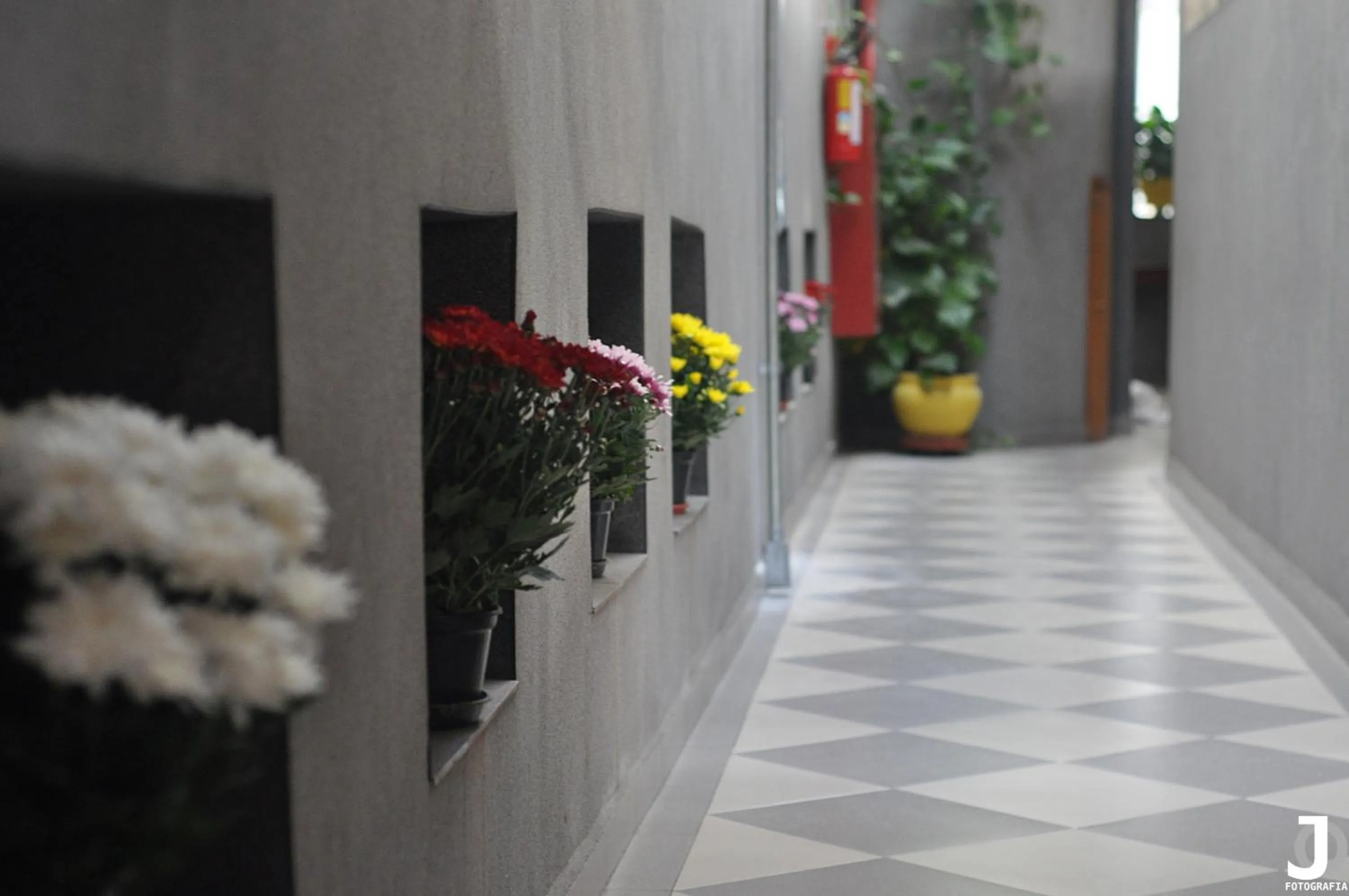 Floor plan in Missouri Hotel