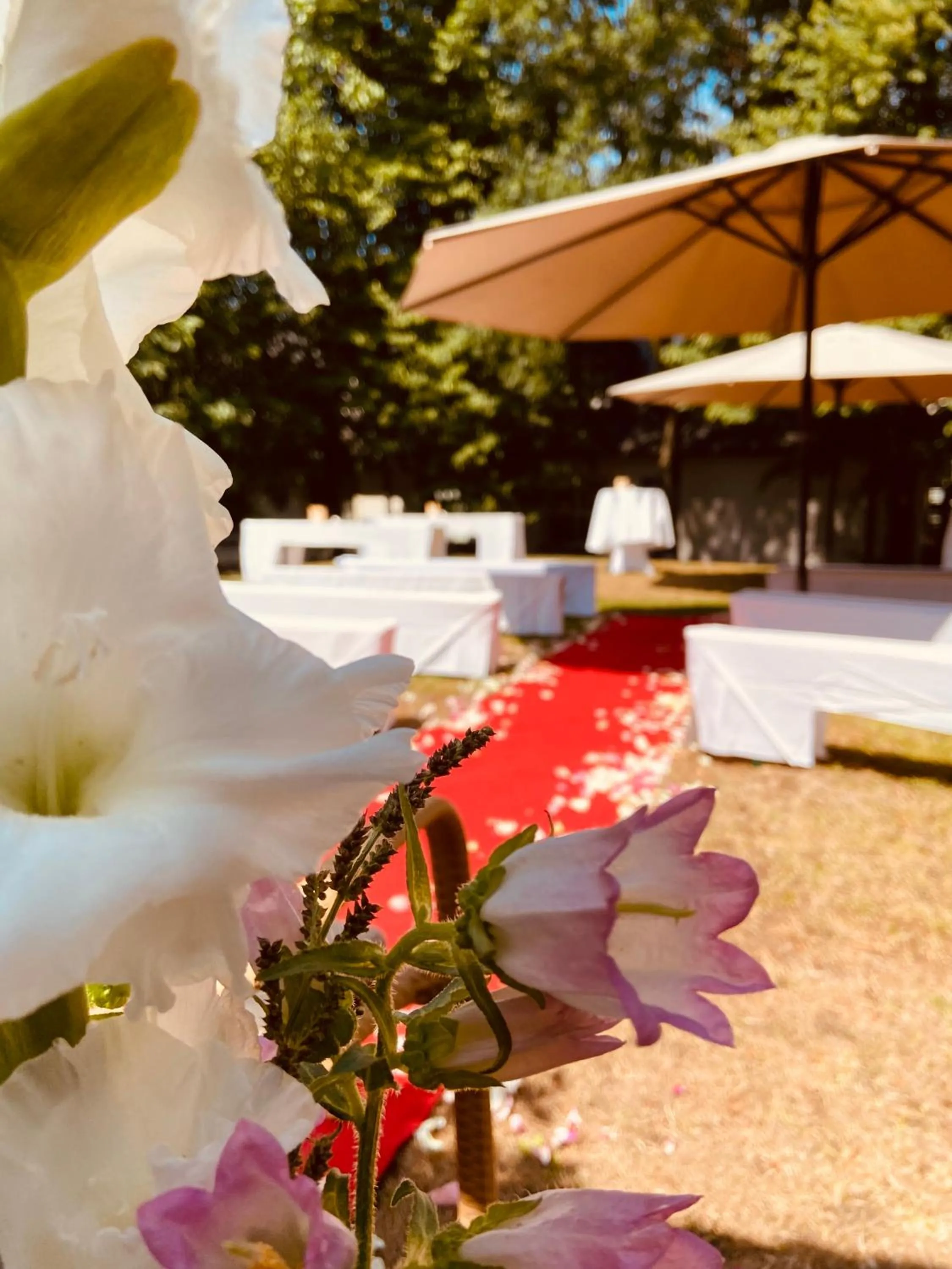 Banquet/Function facilities in Hotel "Schloss Friedestrom"