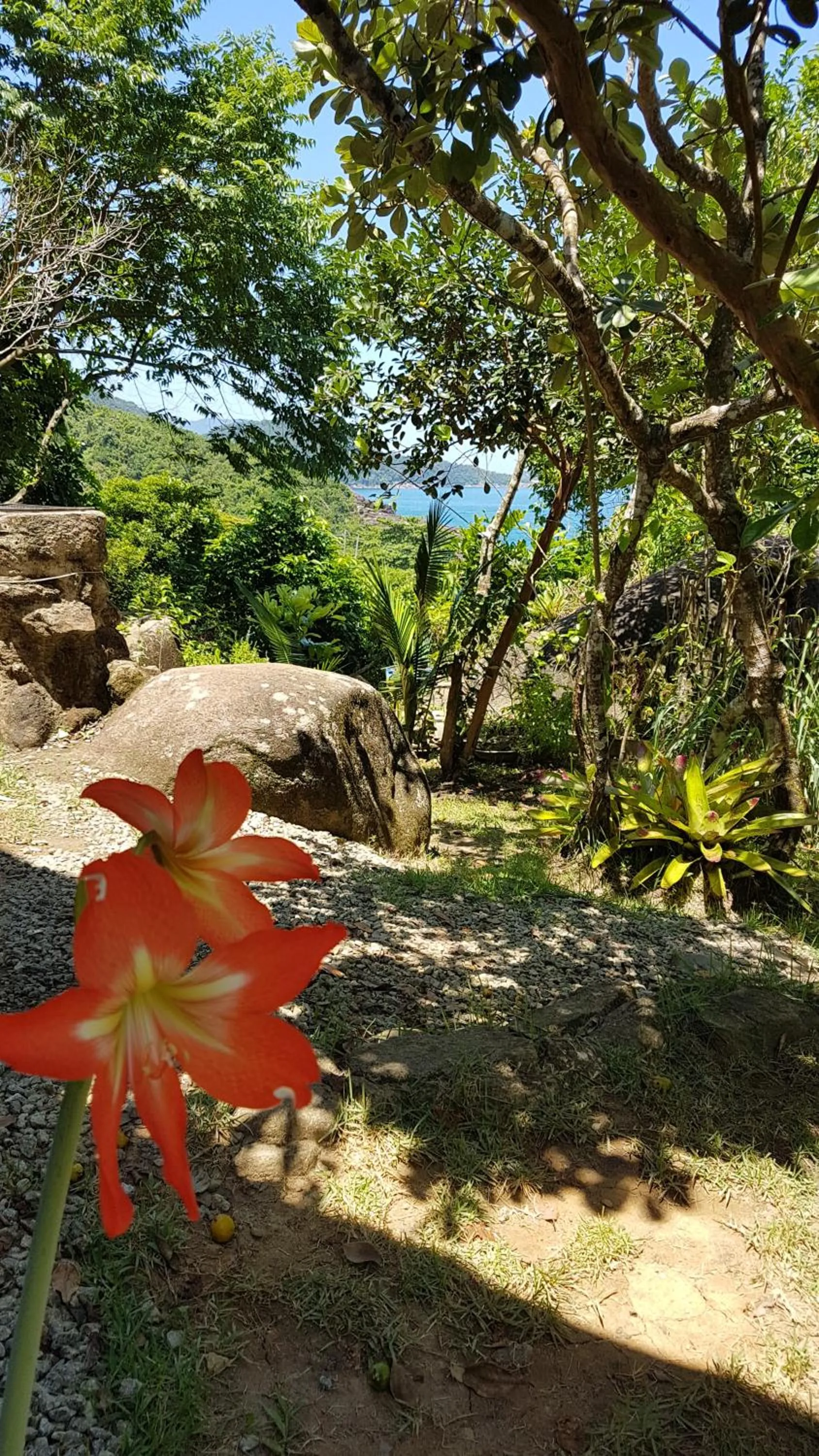 Hospedagem Casa Maracujá