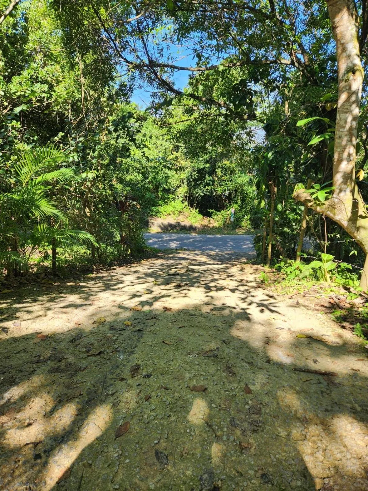 Hospedagem Casa Maracujá