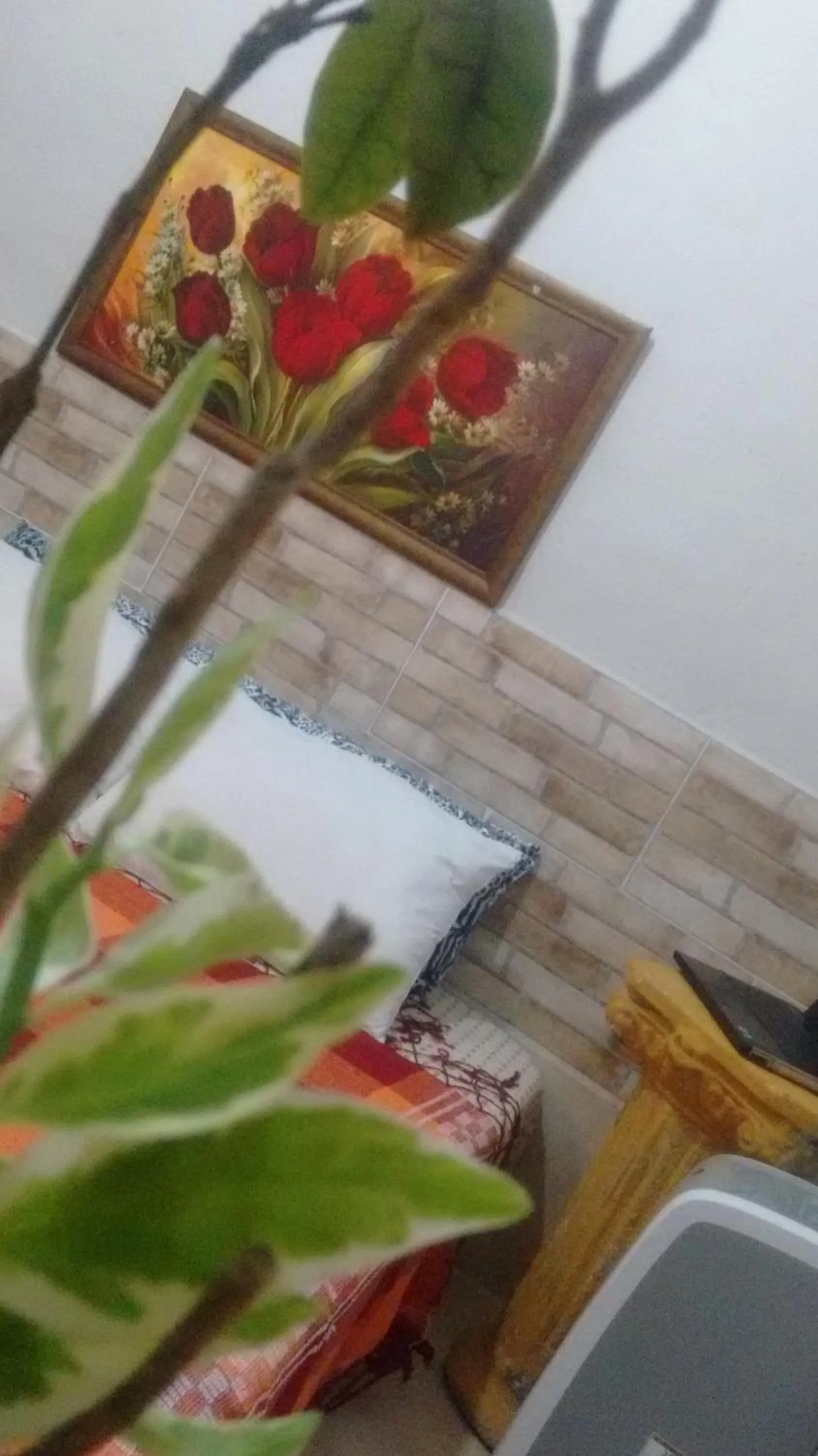 Meu Quarto no Rio de Janeiro