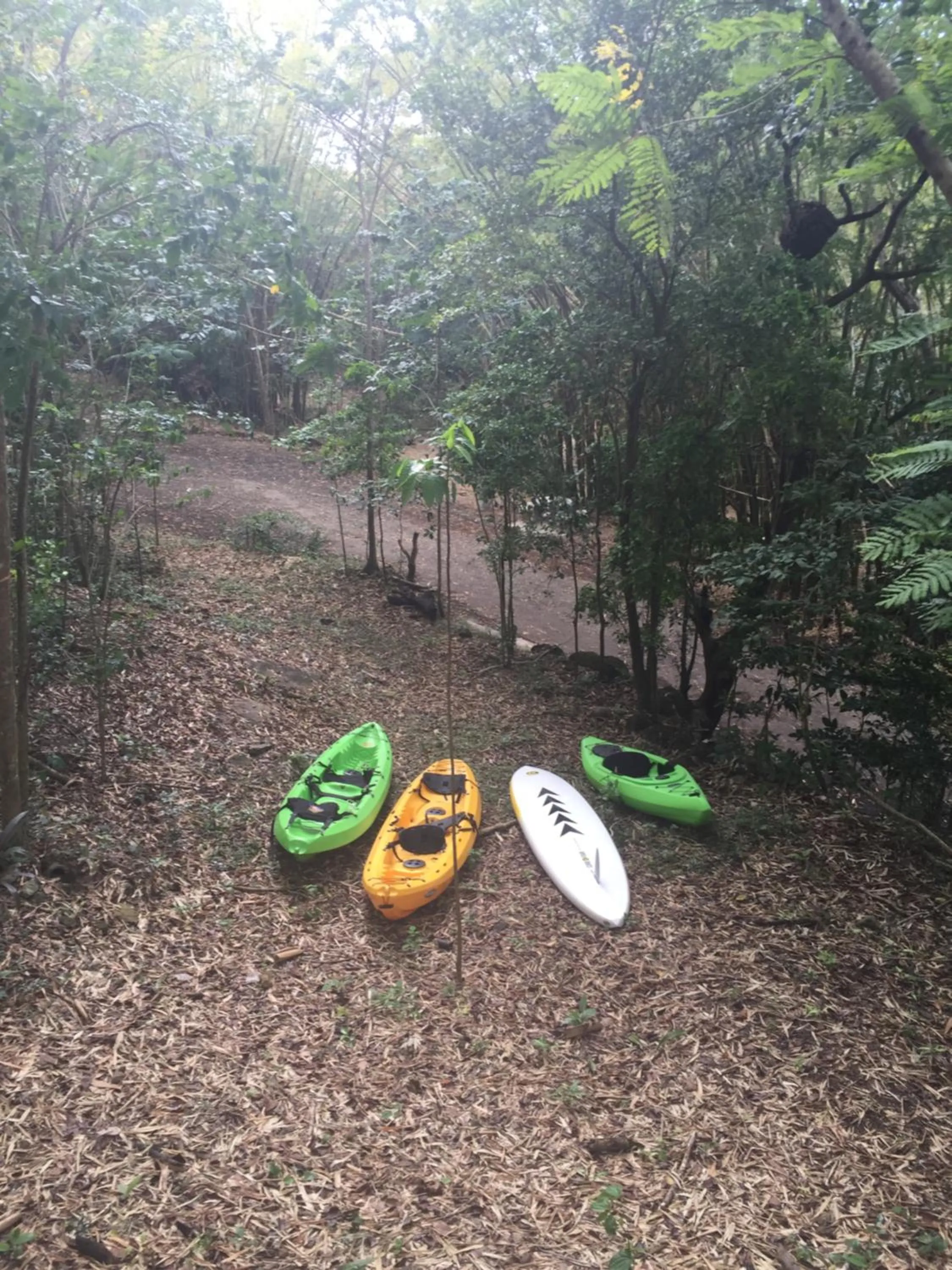 Activities in Dos Aguas