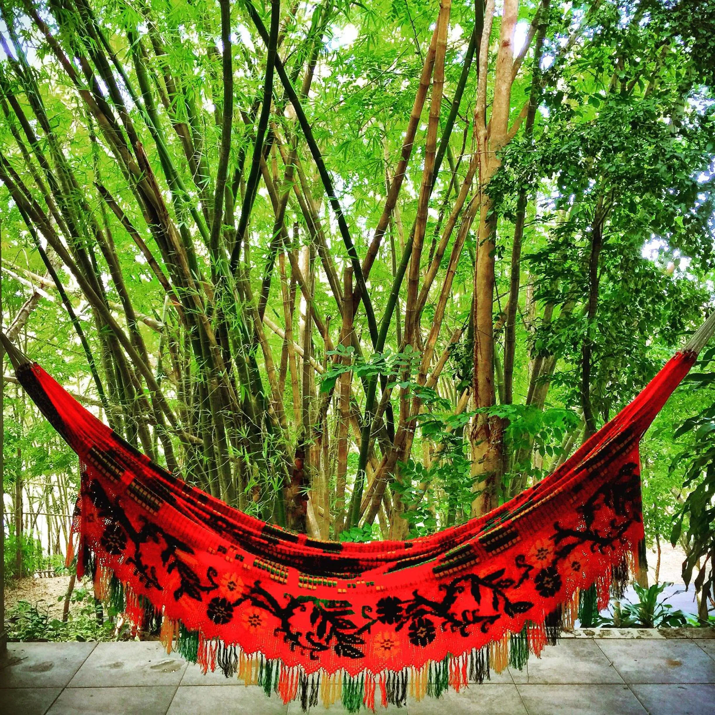 Balcony/Terrace in Dos Aguas
