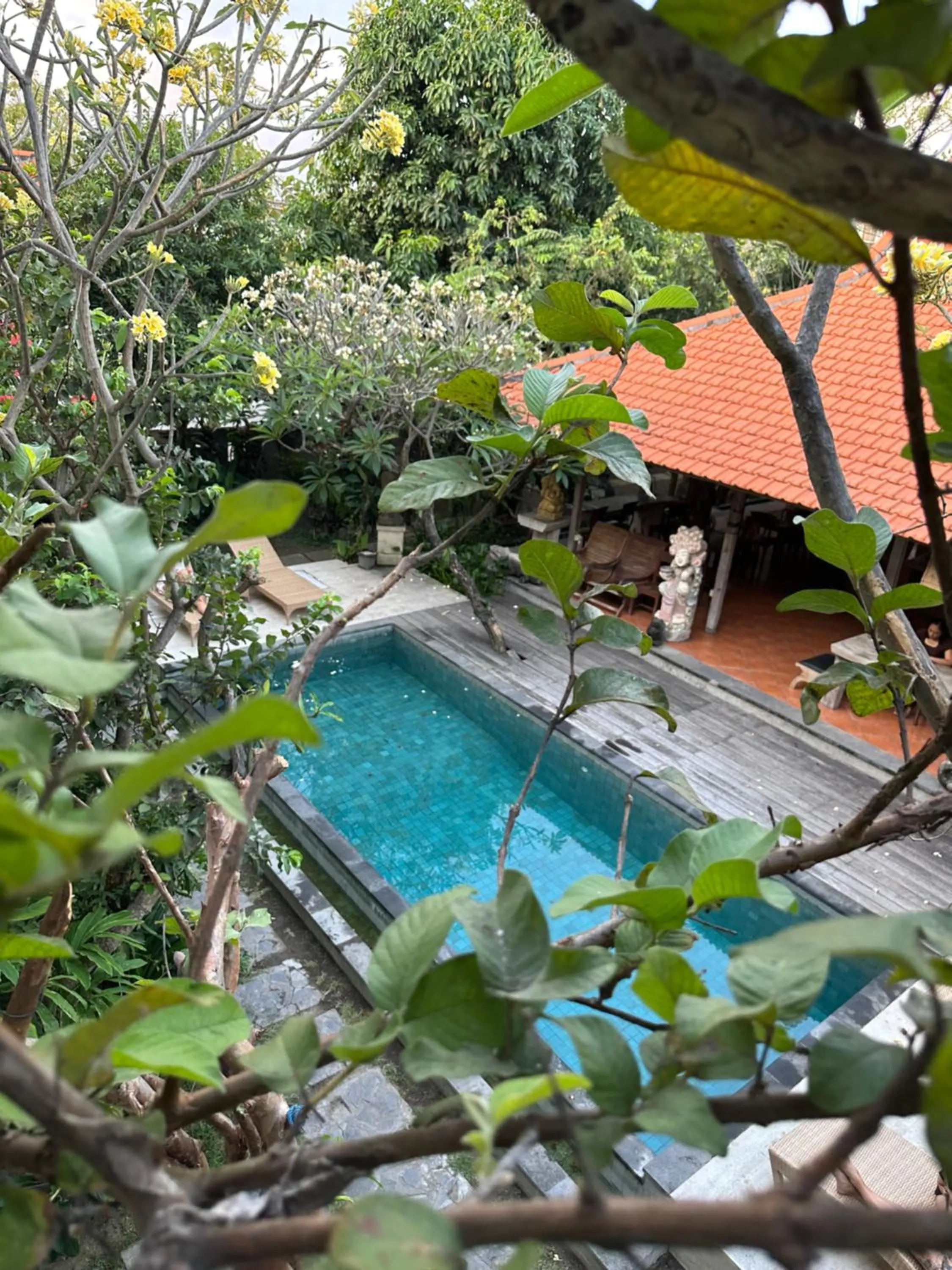 Pool view in Diuma residence yoga meditation retreat and healing Center