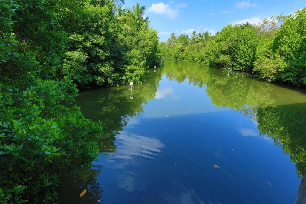 Other in Mangrove Beach Cabana