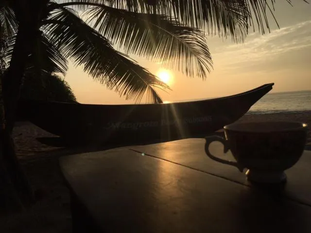 Mangrove Beach Cabana