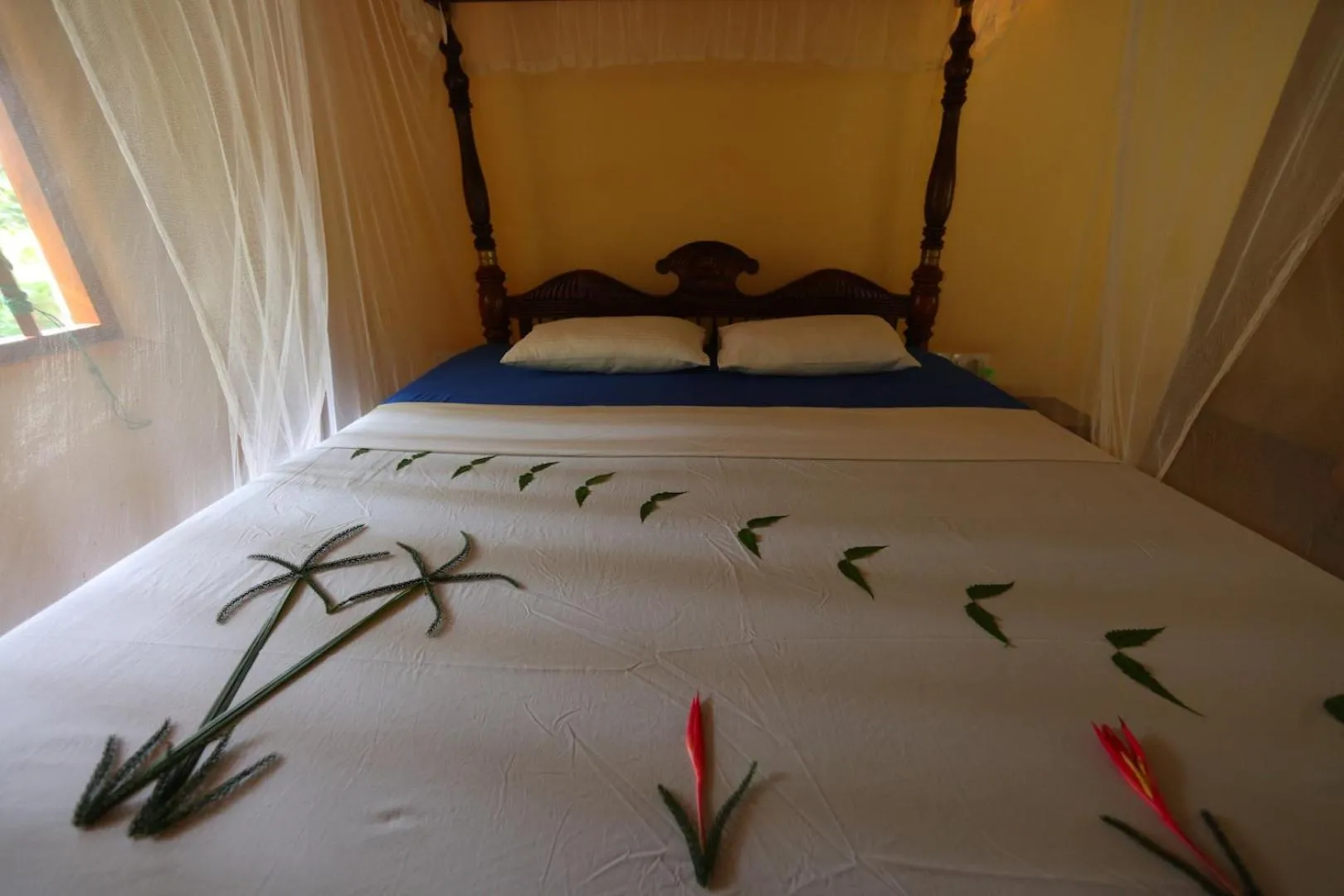 Bed in Mangrove Beach Cabana