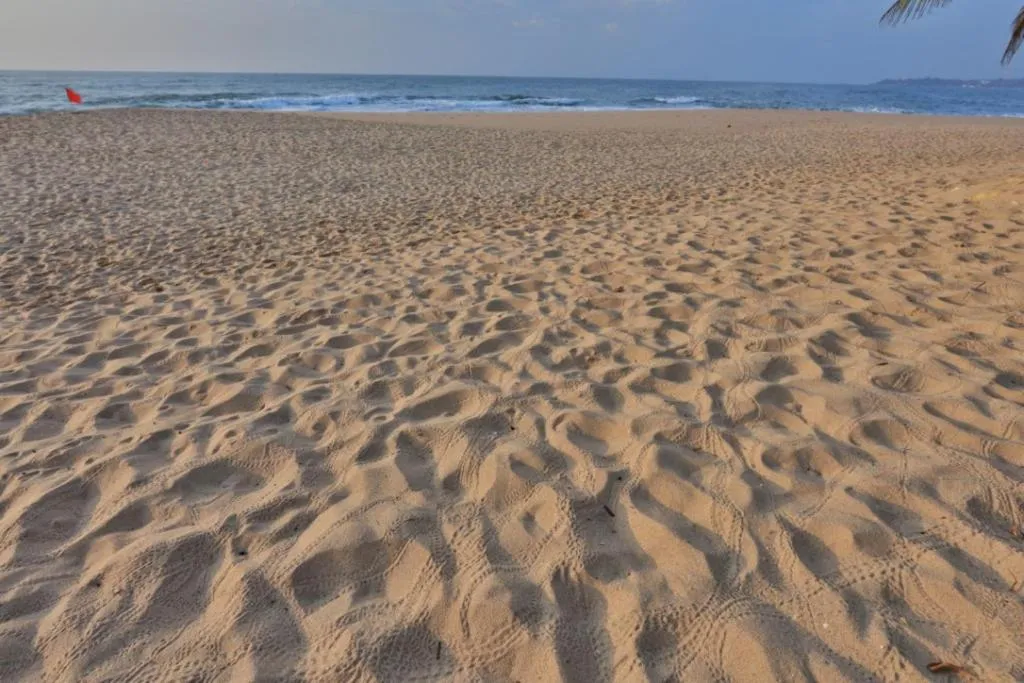 Beach in Mangrove Beach Cabana