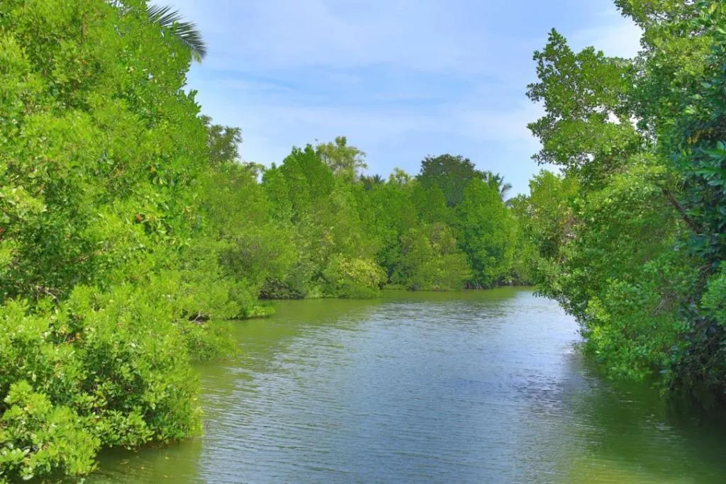 Neighbourhood in Mangrove Beach Cabana