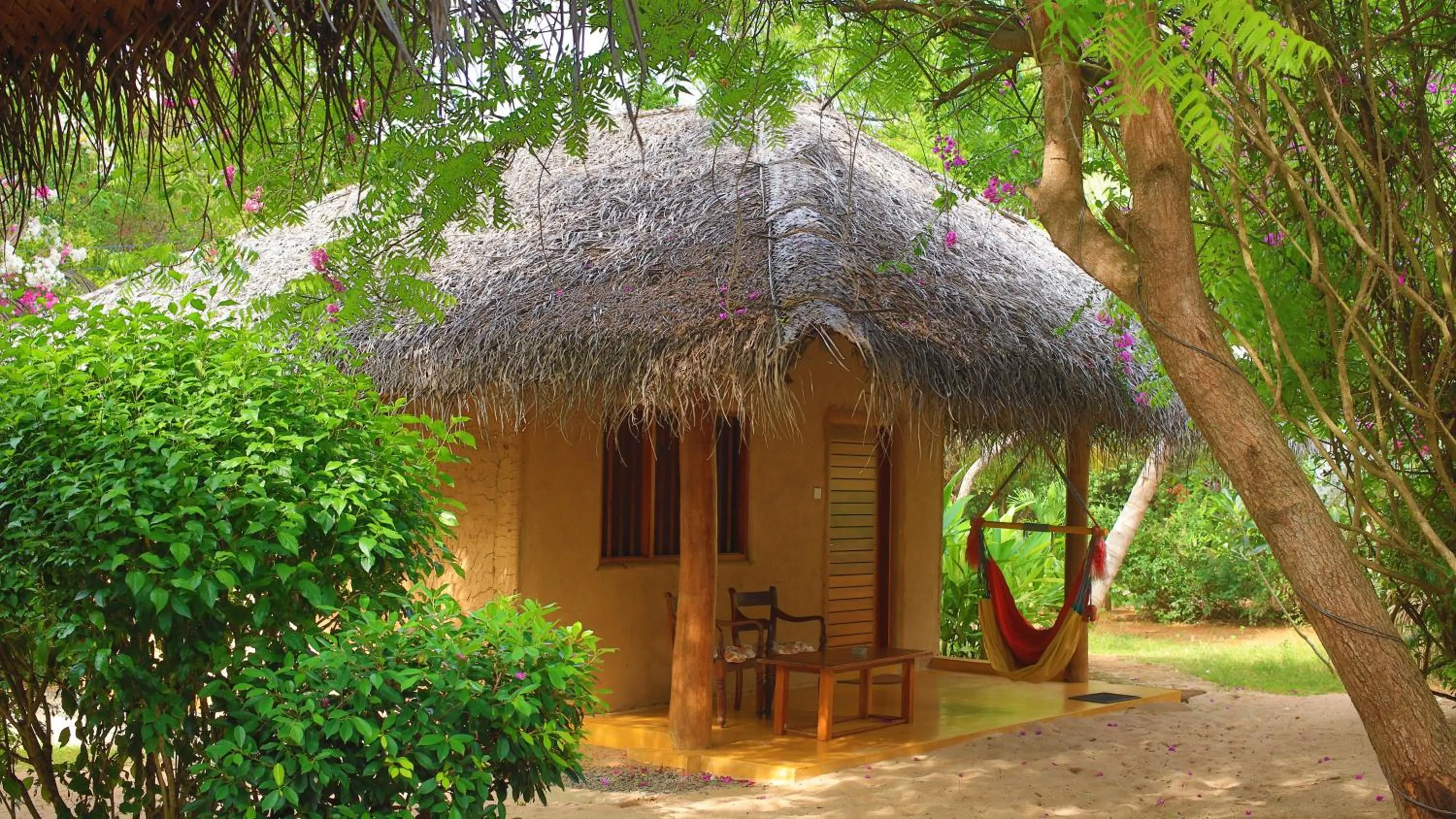 Mangrove Beach Cabana