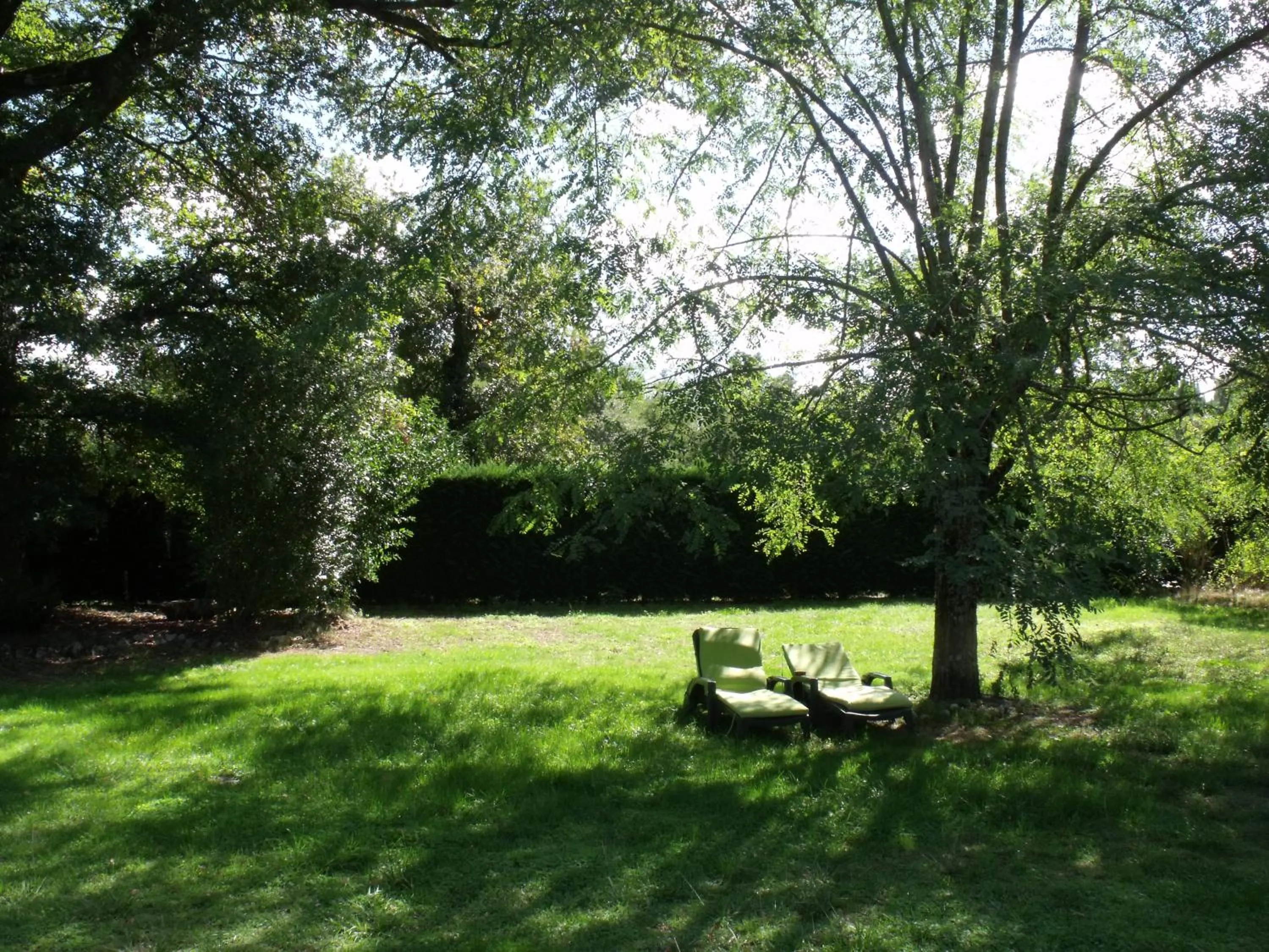 Garden in Les Hôtes Landes