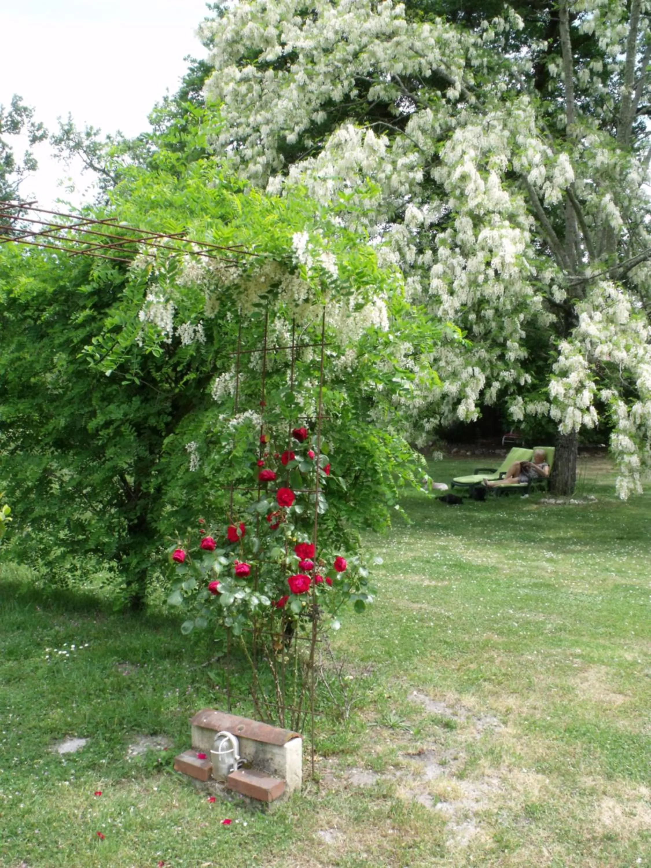 Spring in Les Hôtes Landes