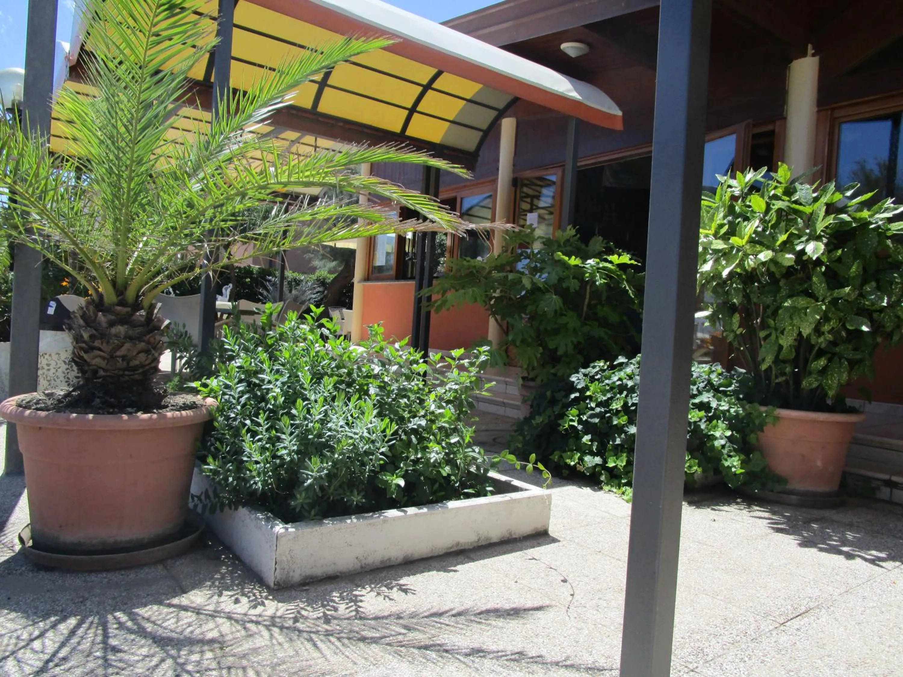 Garden in Albergo Primavera