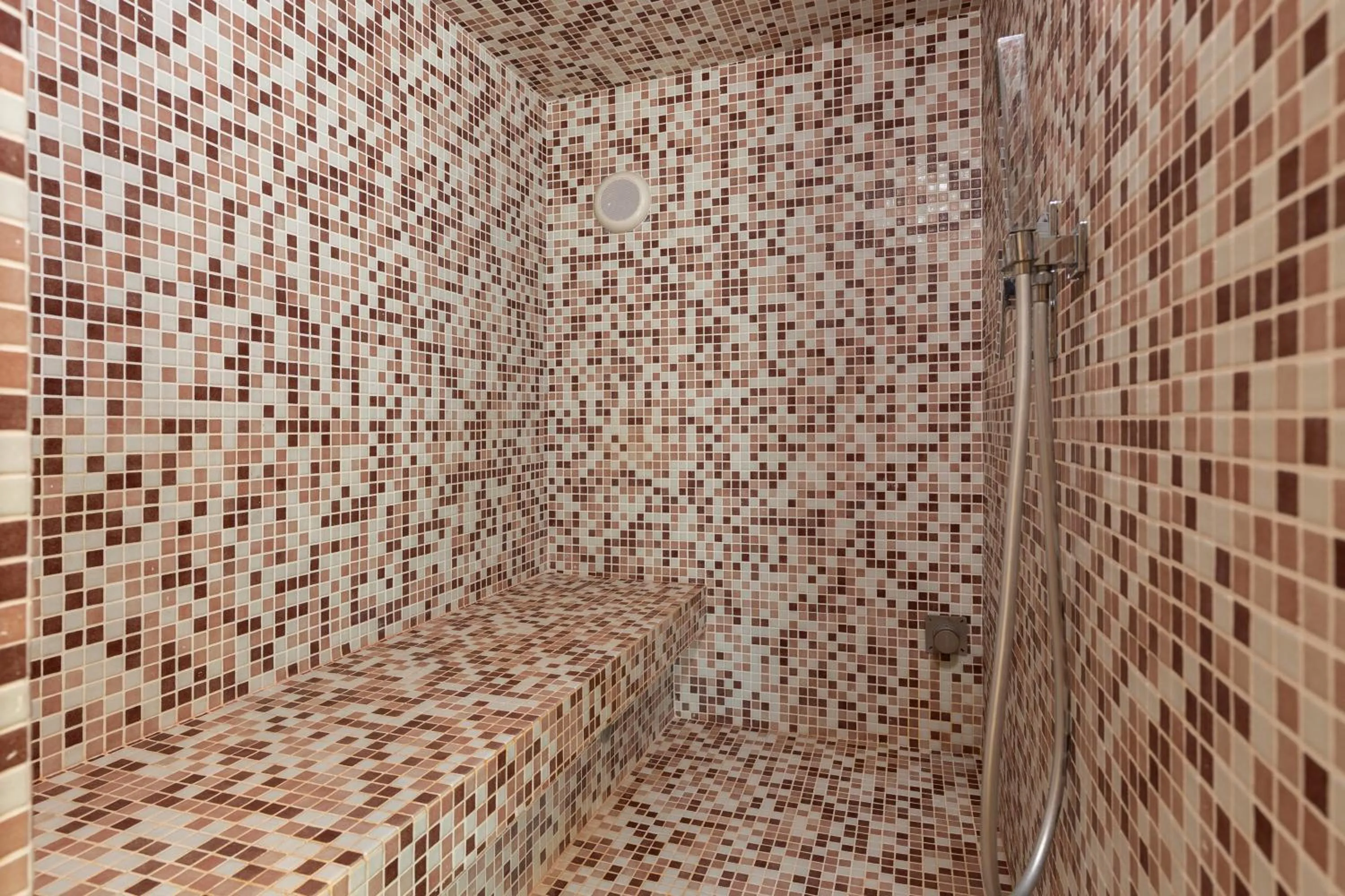 Steam room in Hôtel & Résidence Lou Paradou Gréoux Les Bains