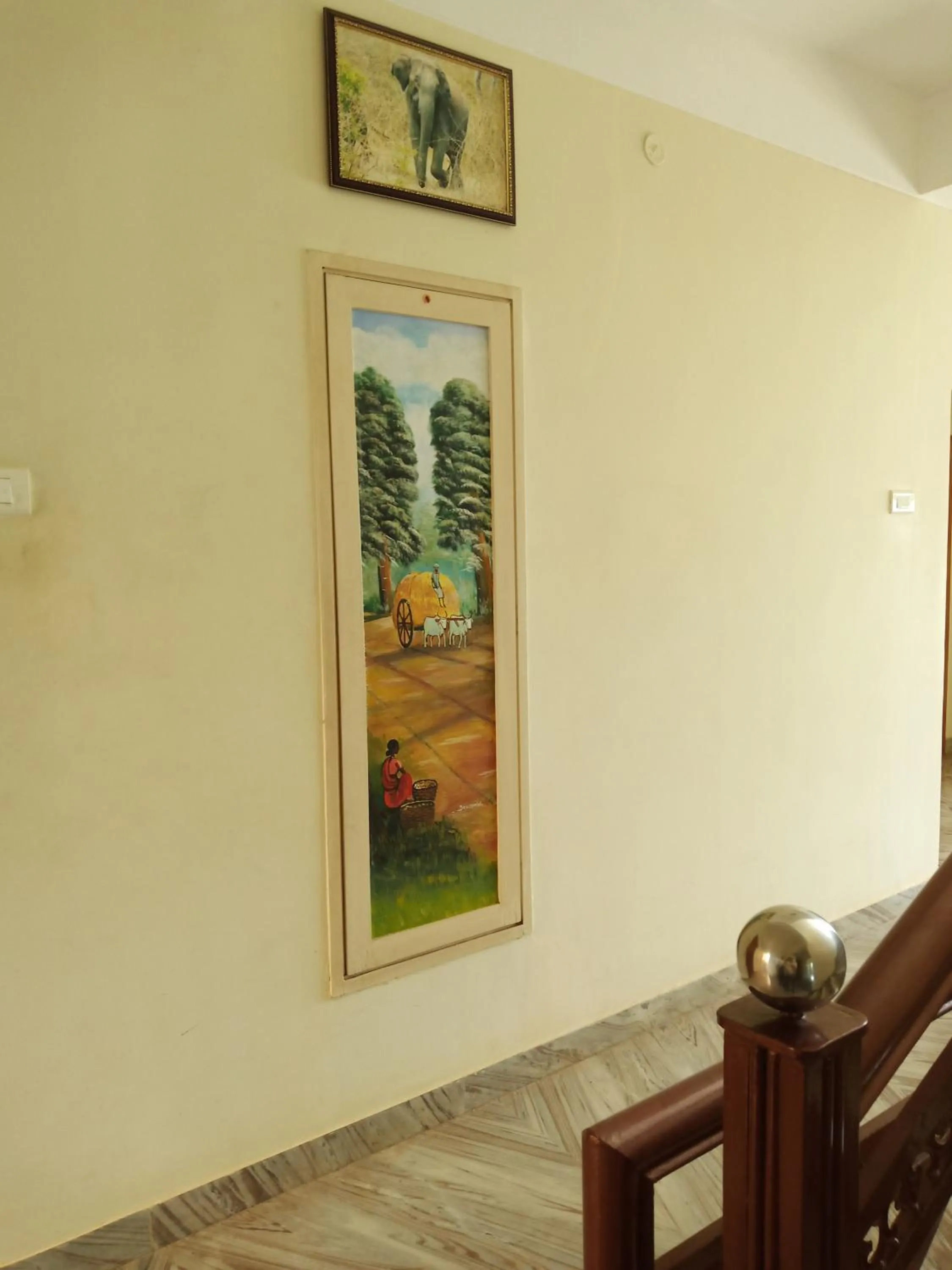 Area and facilities in Hotel Victoriyah