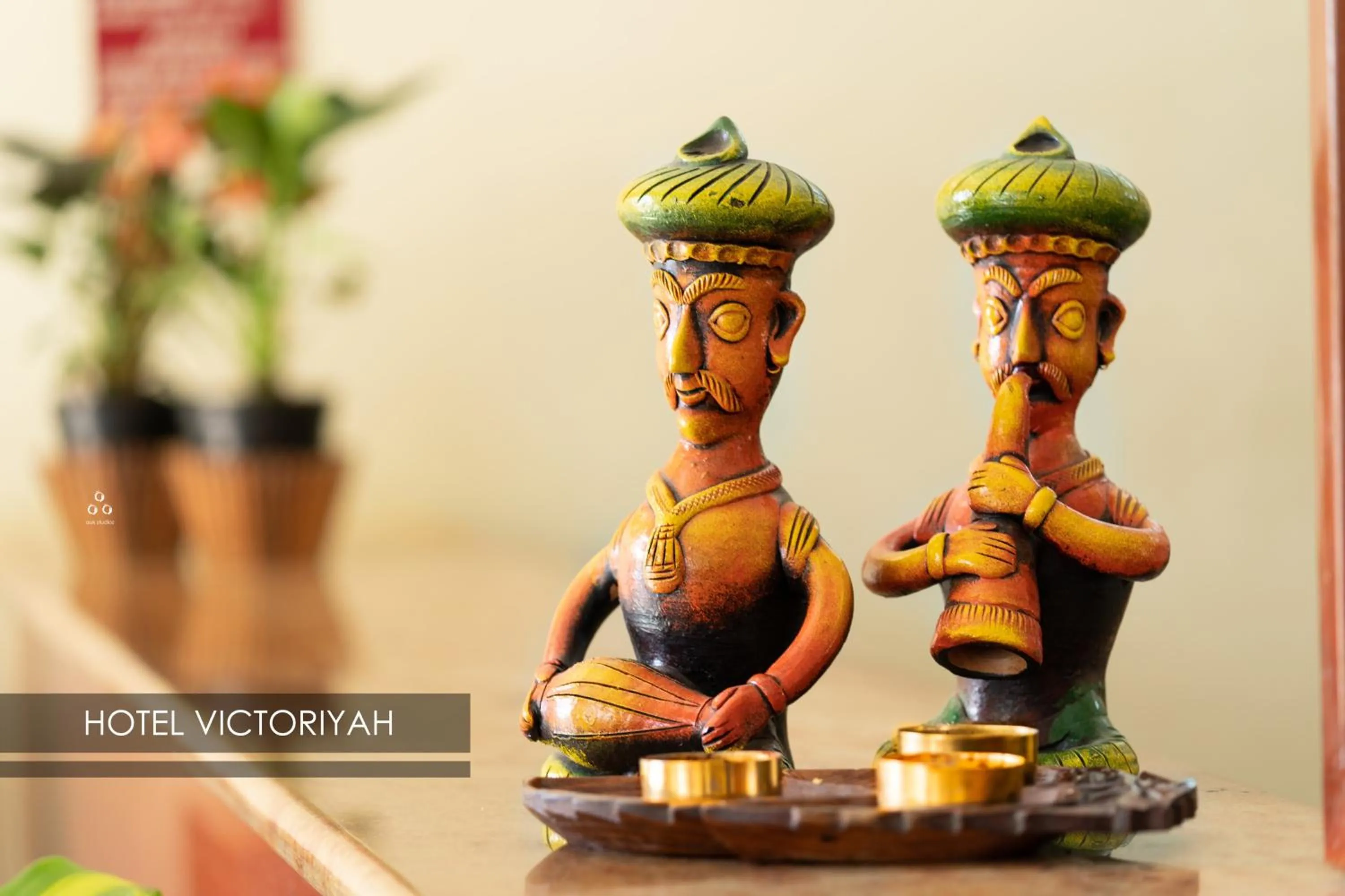 Area and facilities in Hotel Victoriyah