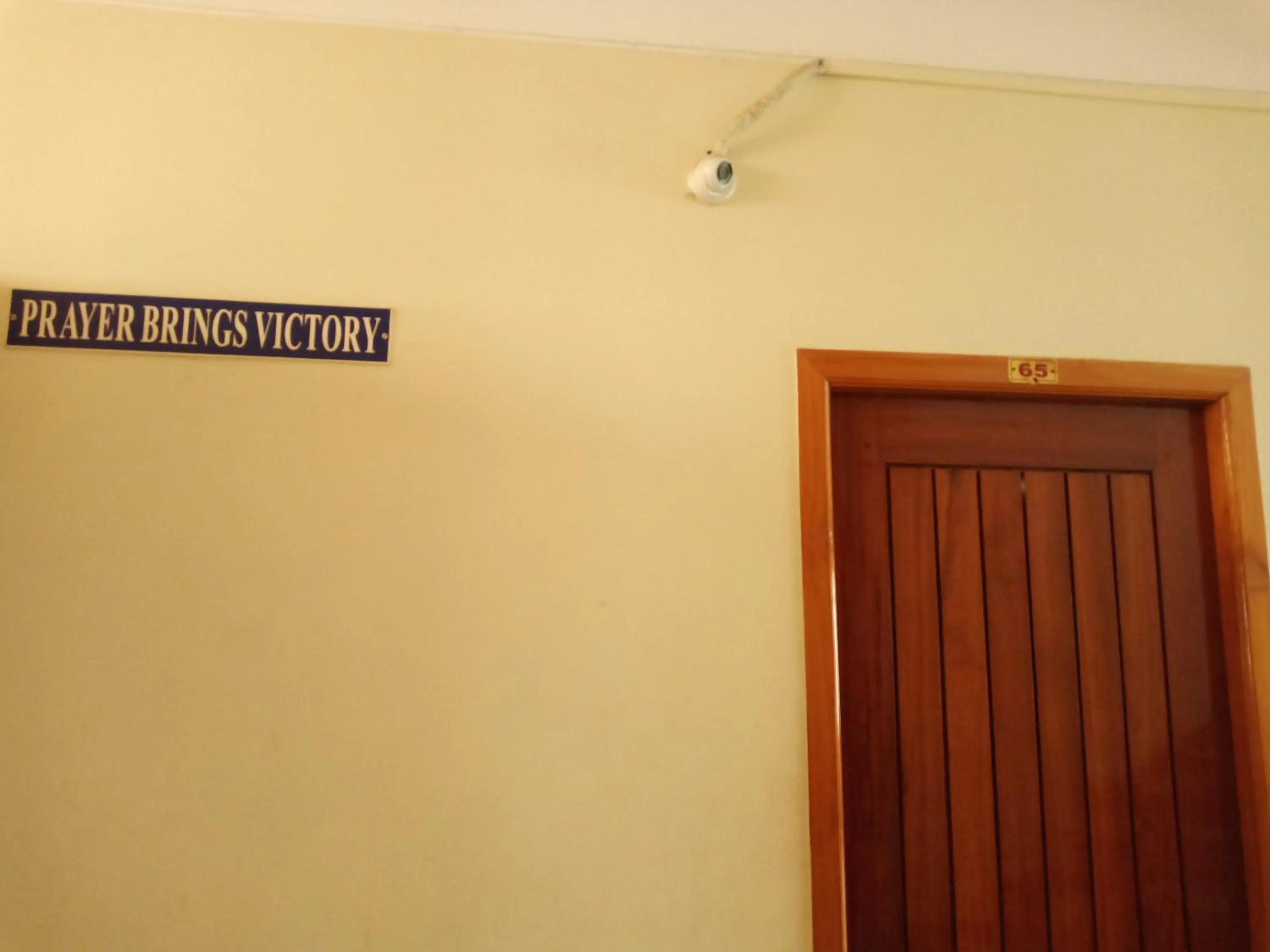 Area and facilities in Hotel Victoriyah