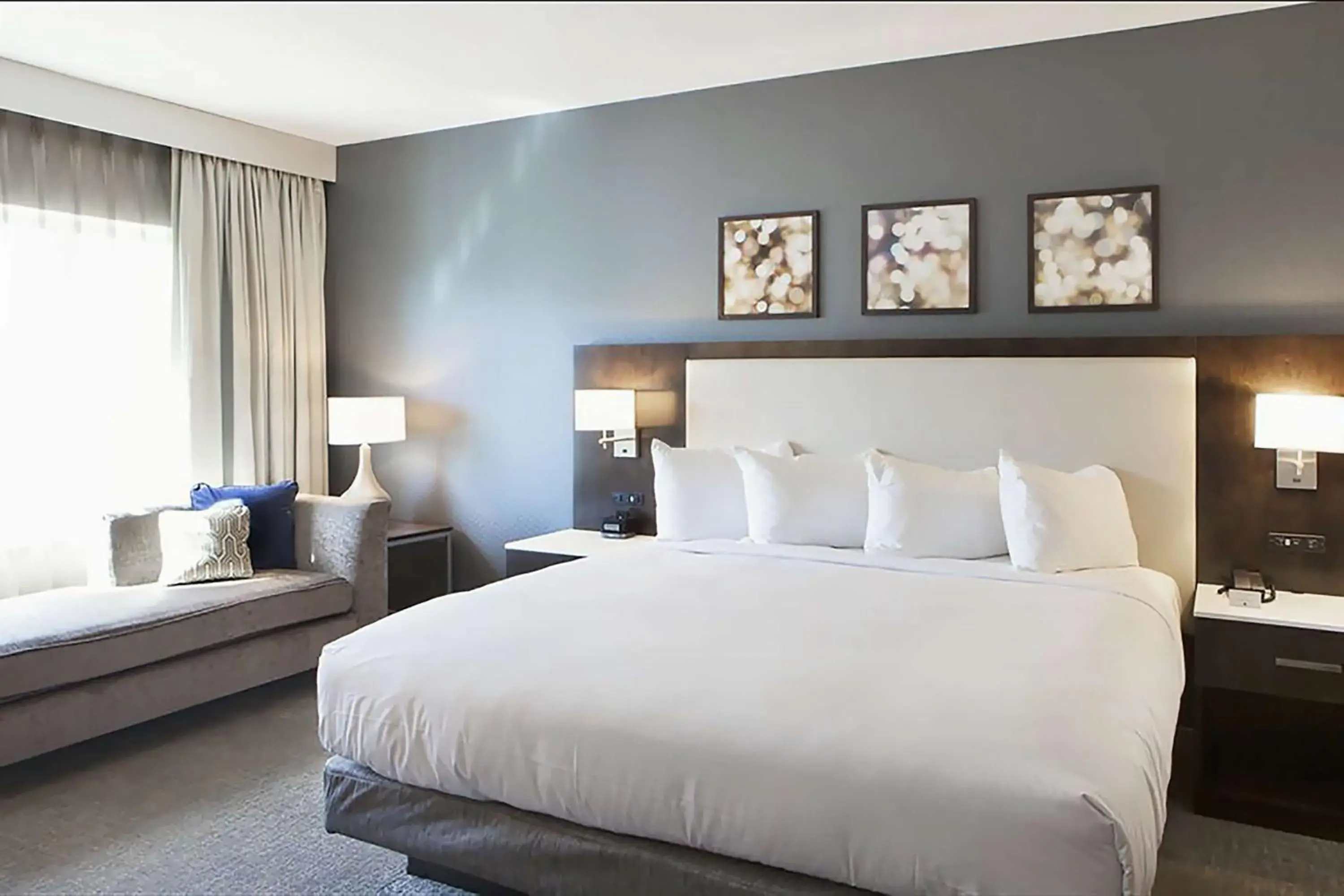 King Room with Roll in Shower - Mobility Accessible in Hilton Garden Inn Minneapolis - University Area King Room with Roll in Shower - Mobility Accessible in Hilton Garden Inn Minneapolis - University Area