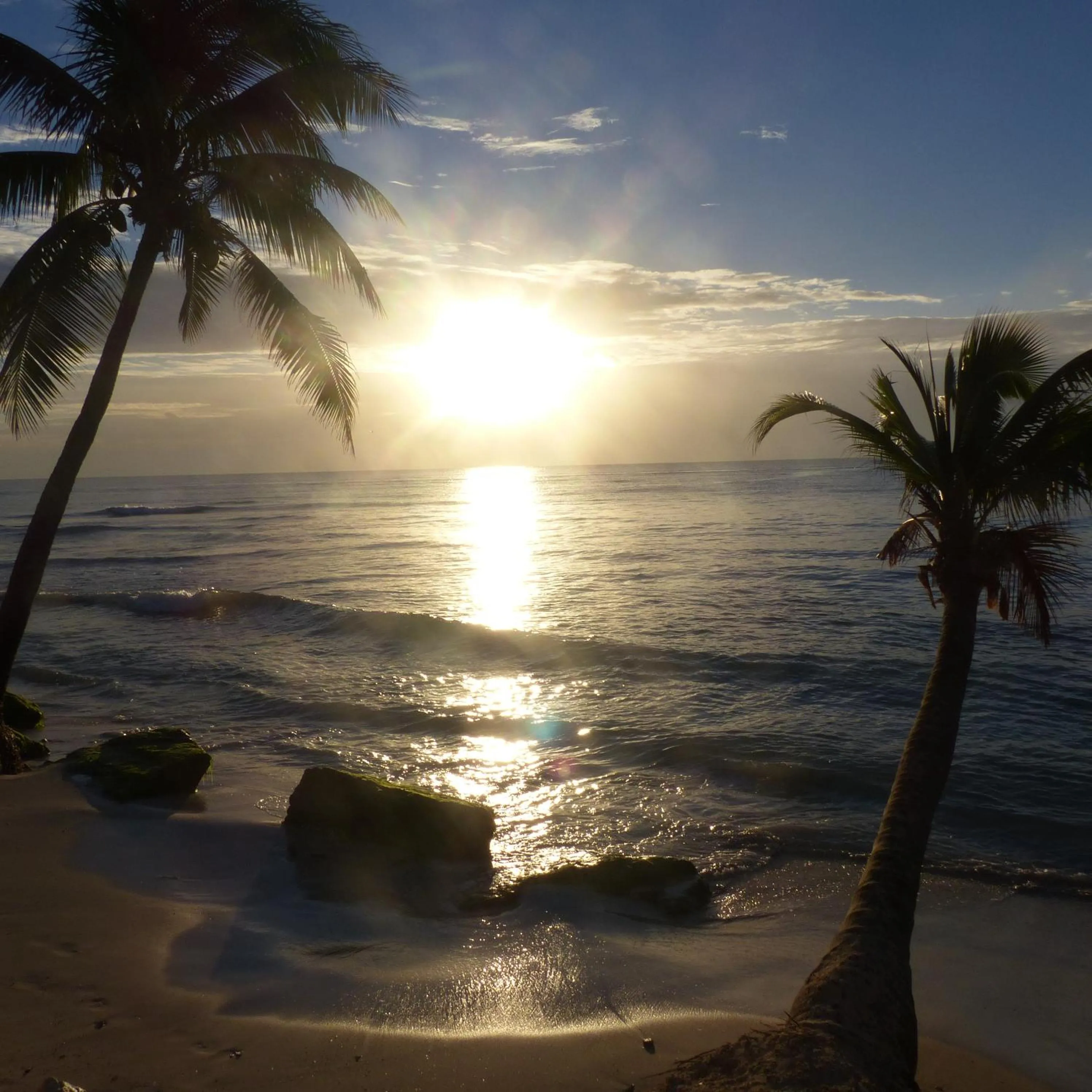 Beach in Lilas del Mar Apartments