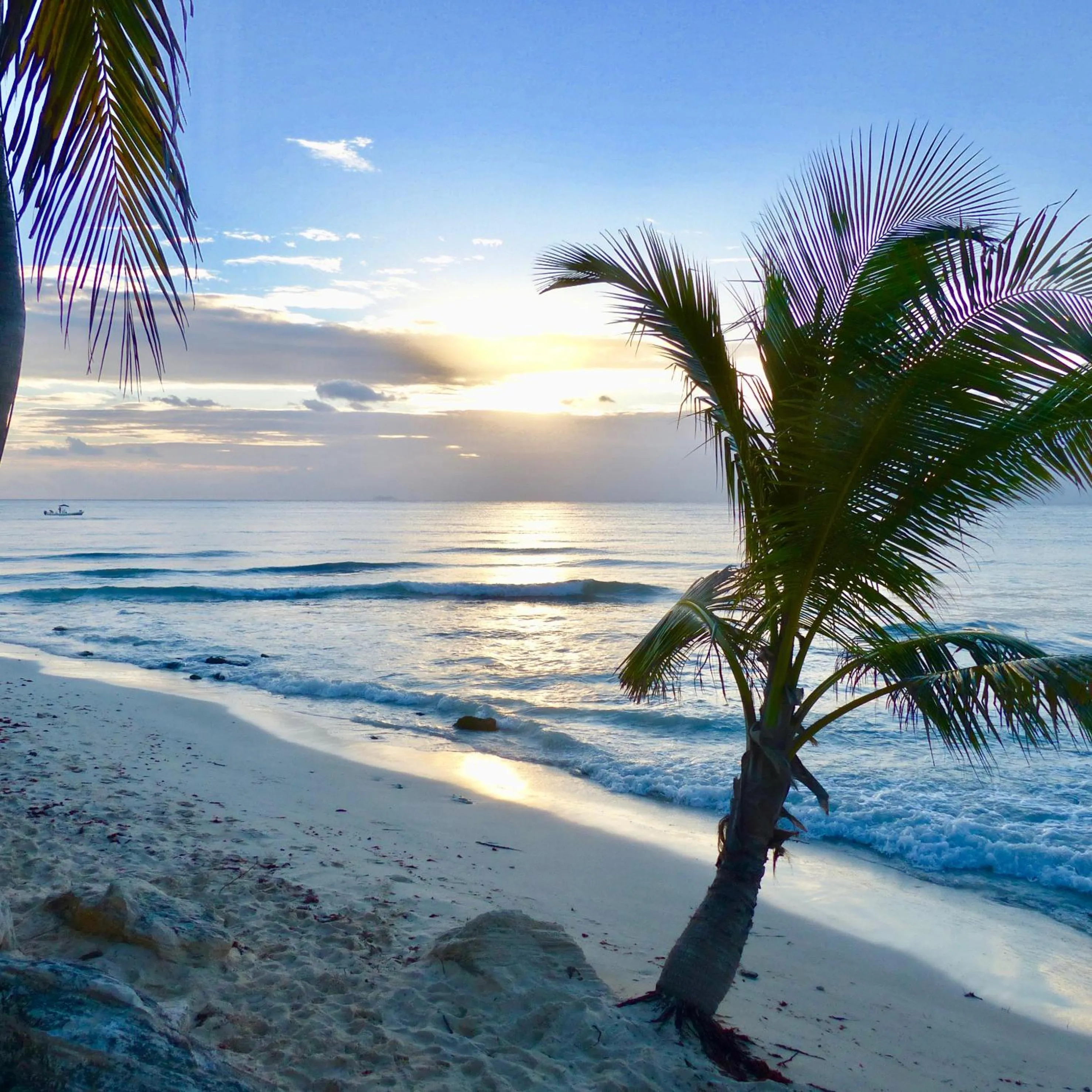 Beach in Lilas del Mar Apartments
