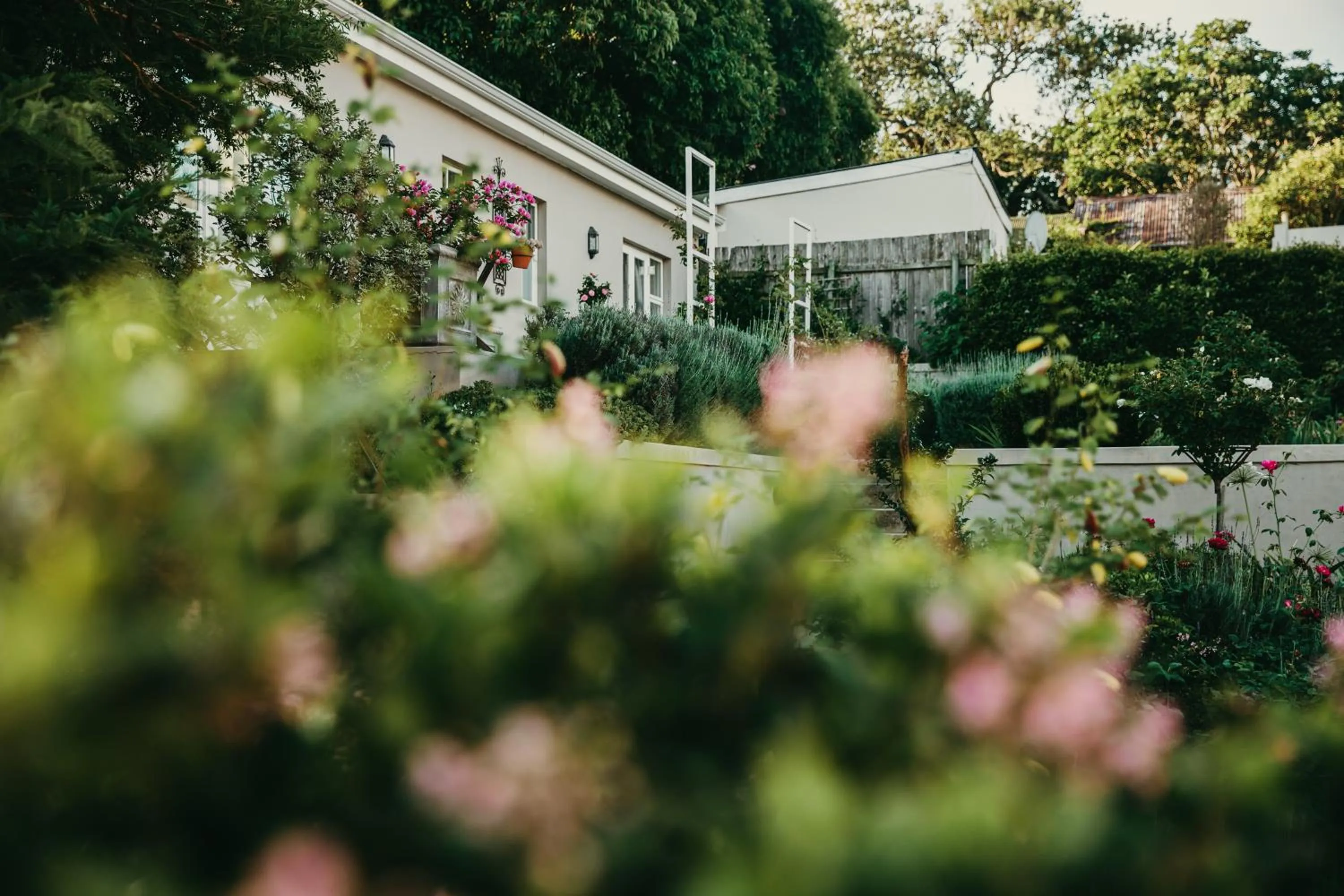 Garden in Cornerstone Manor