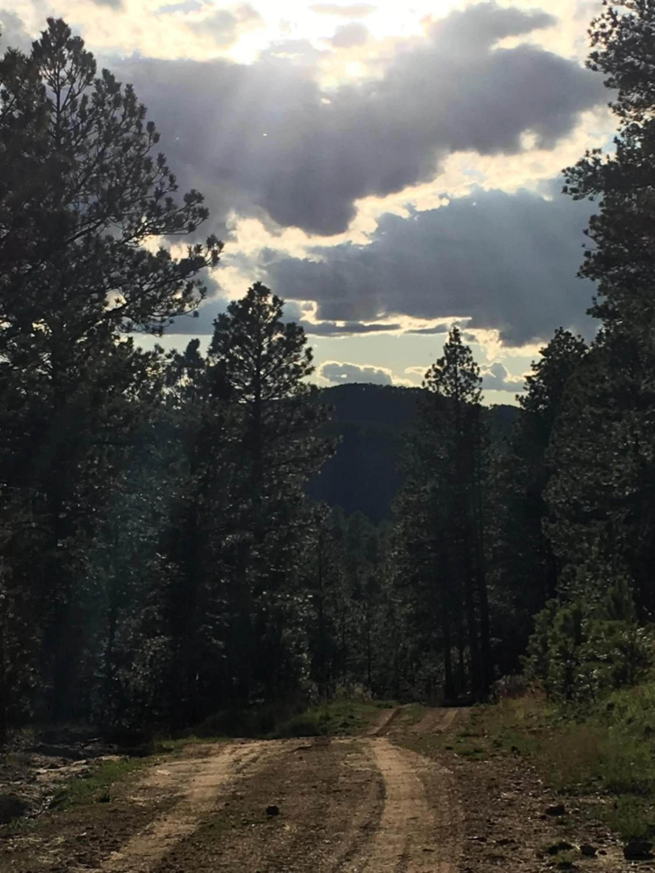 Natural landscape in Priceless Black Hills View