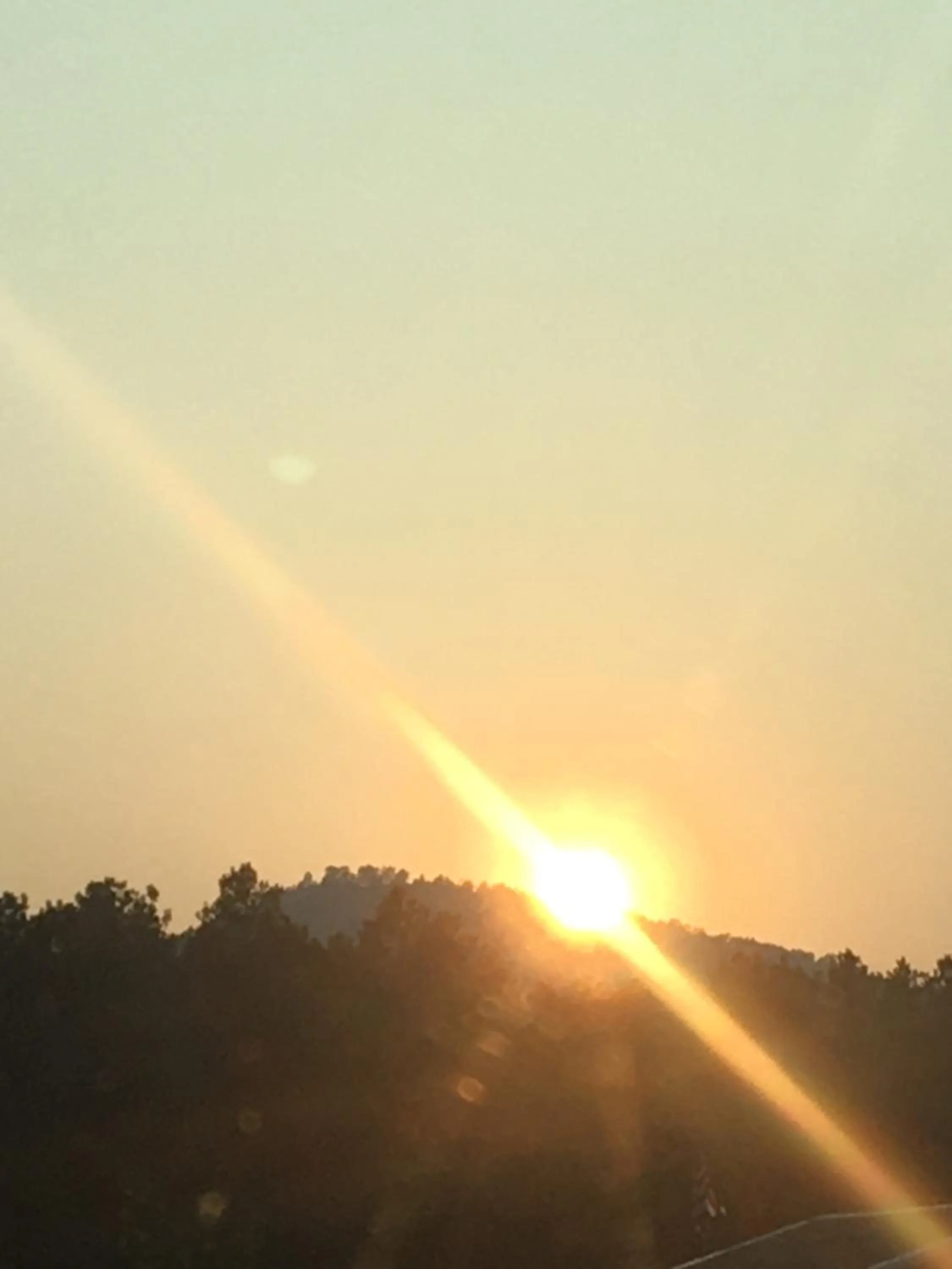 Natural landscape in Priceless Black Hills View