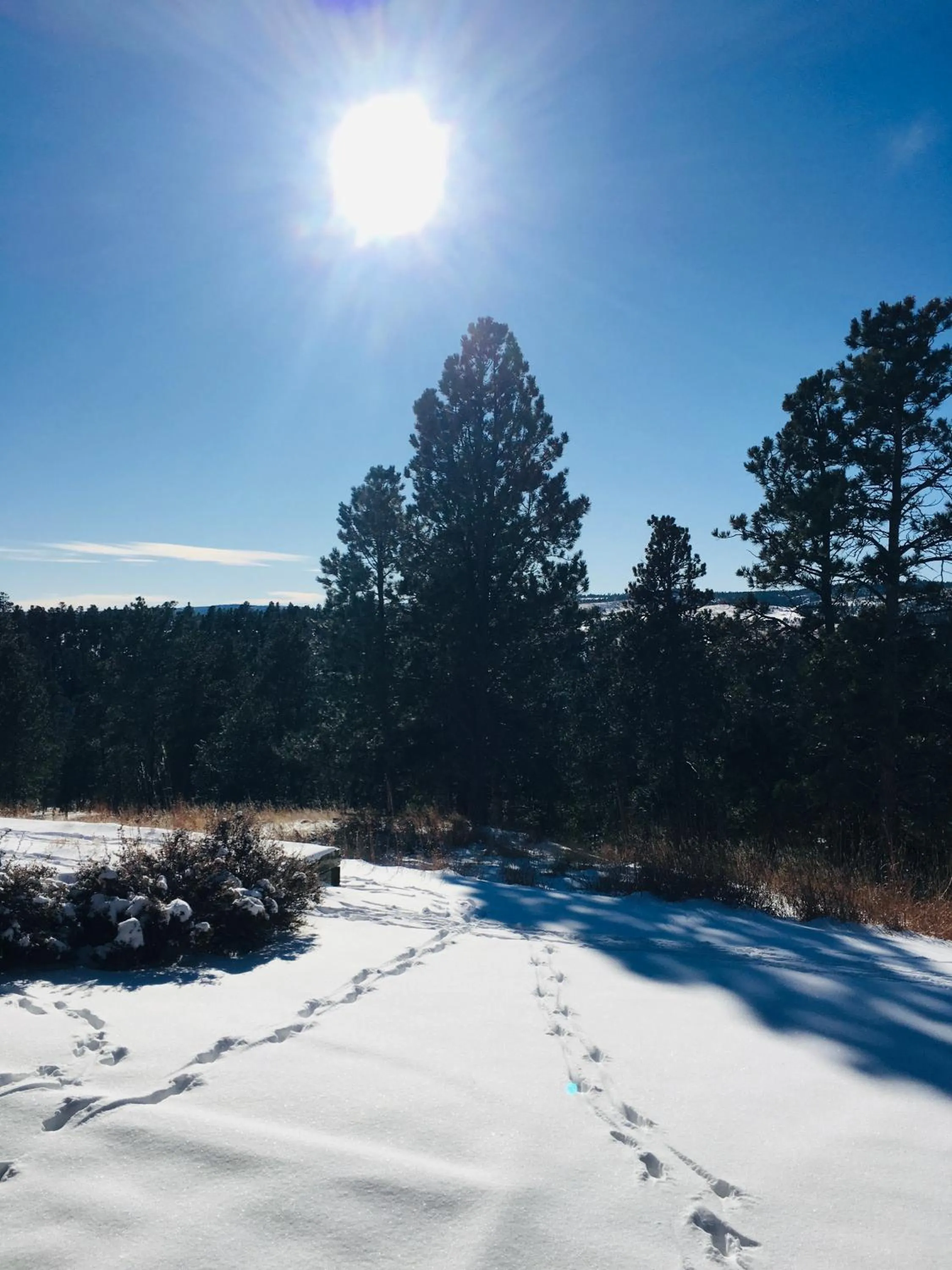 Patio in Priceless Black Hills View