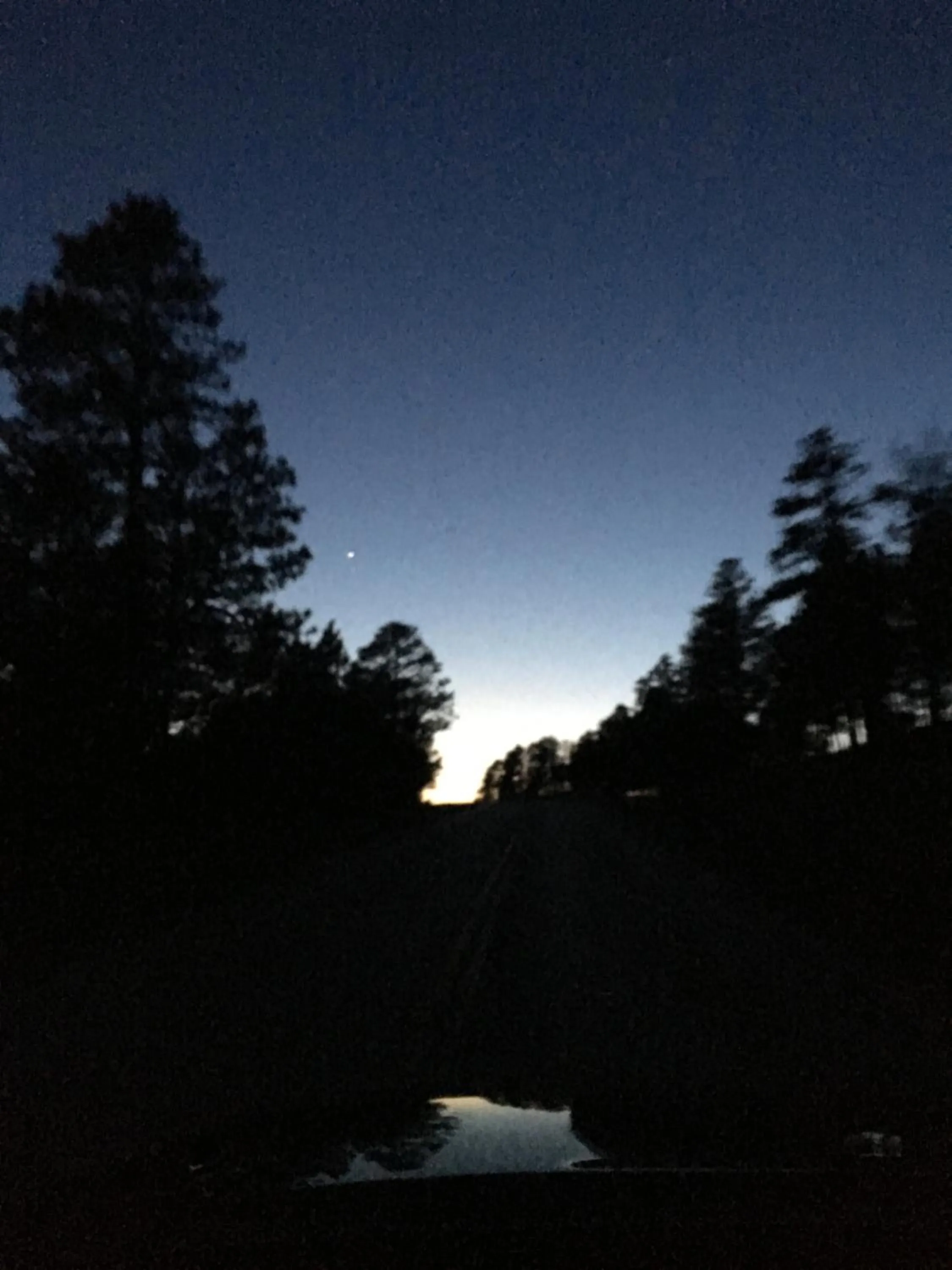 Natural landscape in Priceless Black Hills View