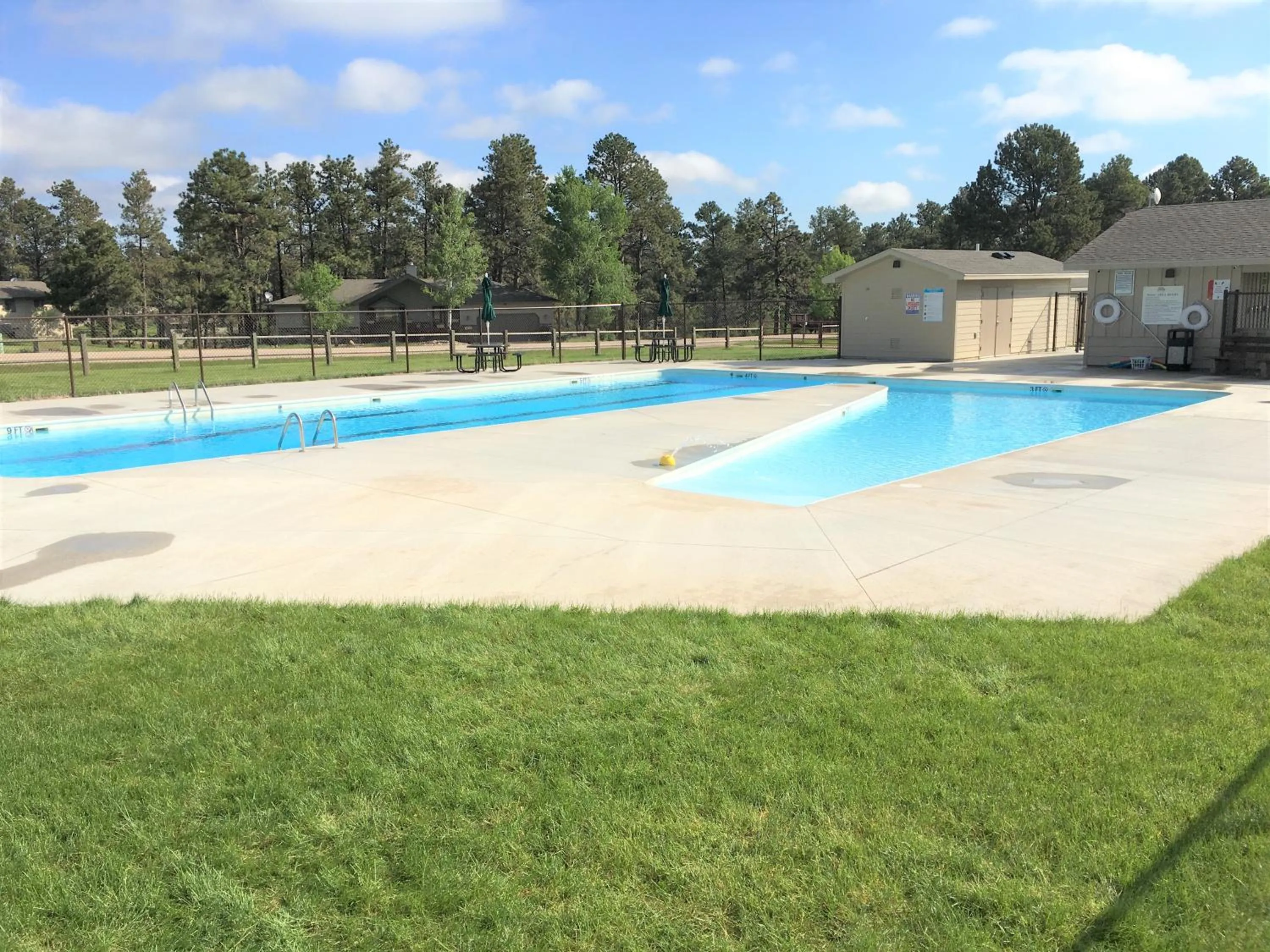 Summer in Priceless Black Hills View