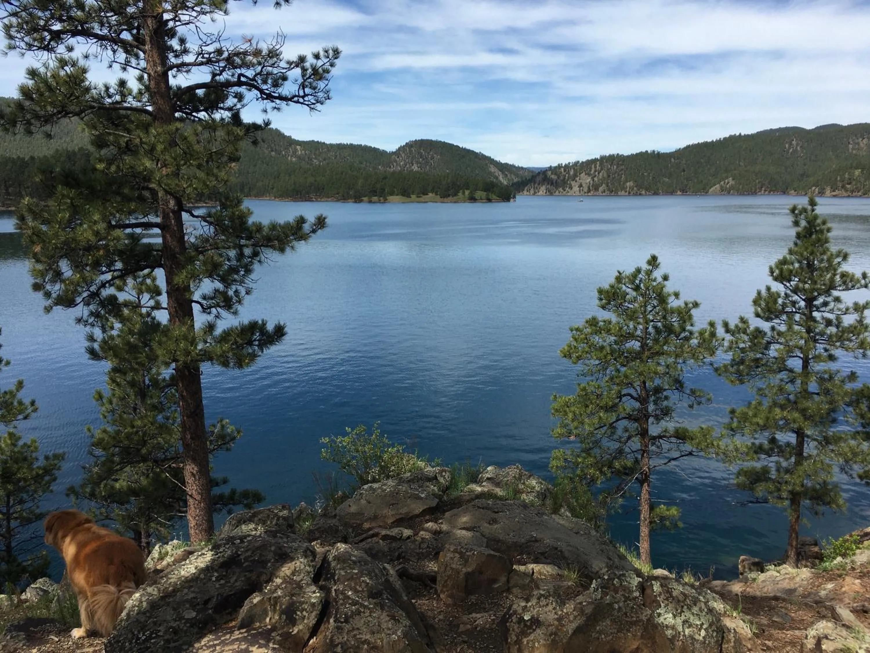 Nearby landmark in Priceless Black Hills View