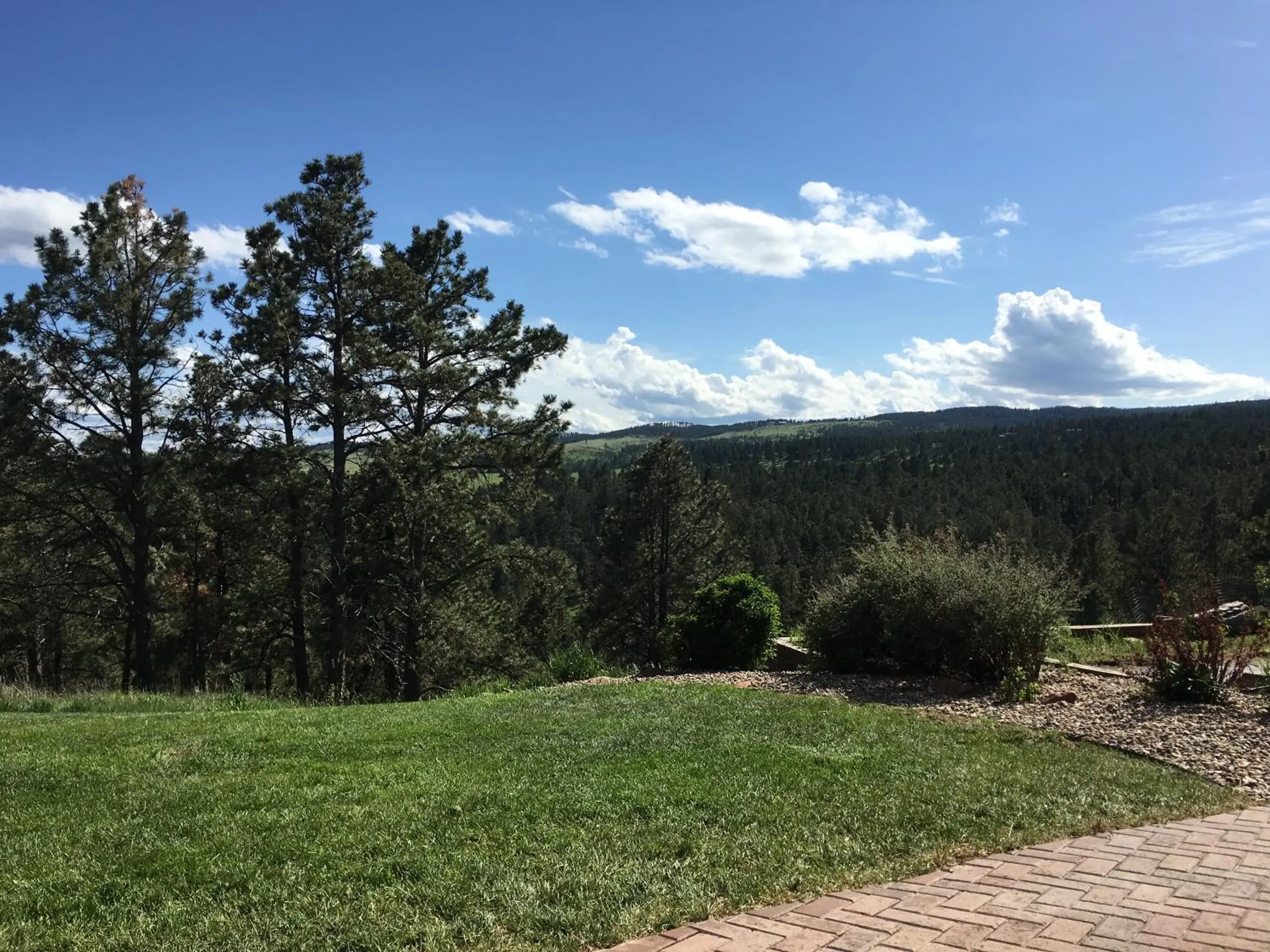 Priceless Black Hills View Priceless Black Hills View