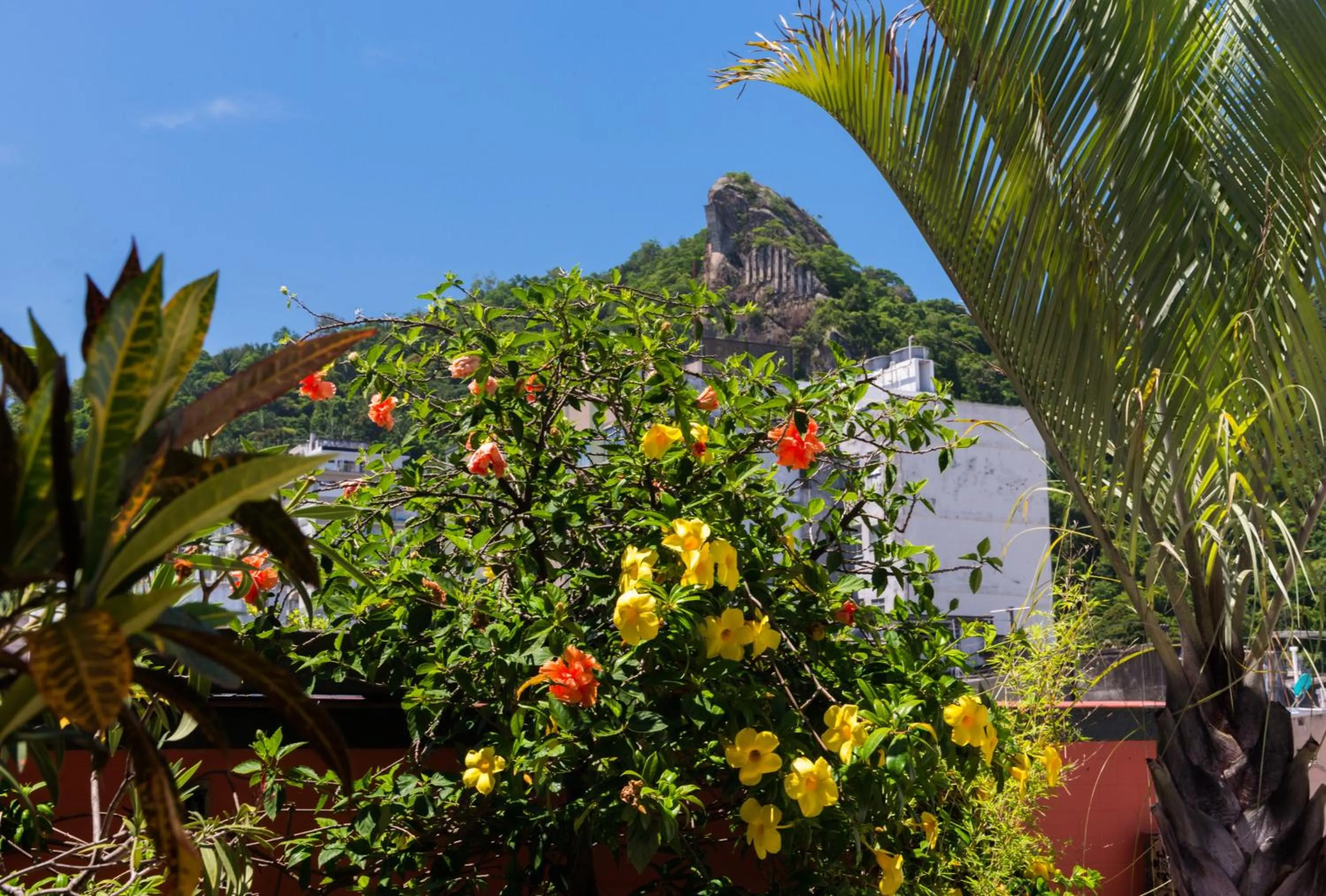 Garden in The Coral Penthouse in Rio de Janeiro - 7 Bedrooms