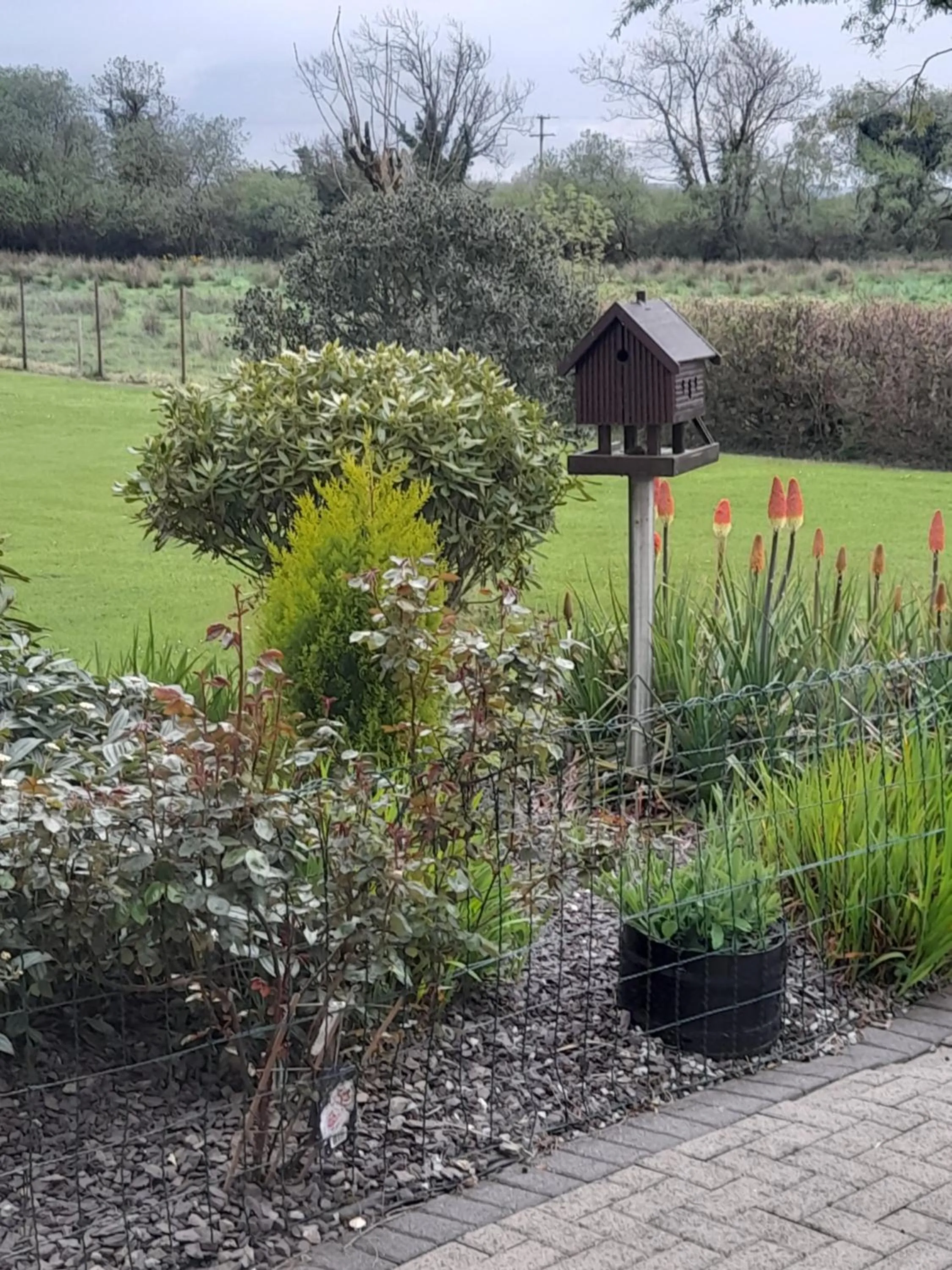 Property building in Cloghan Lodge