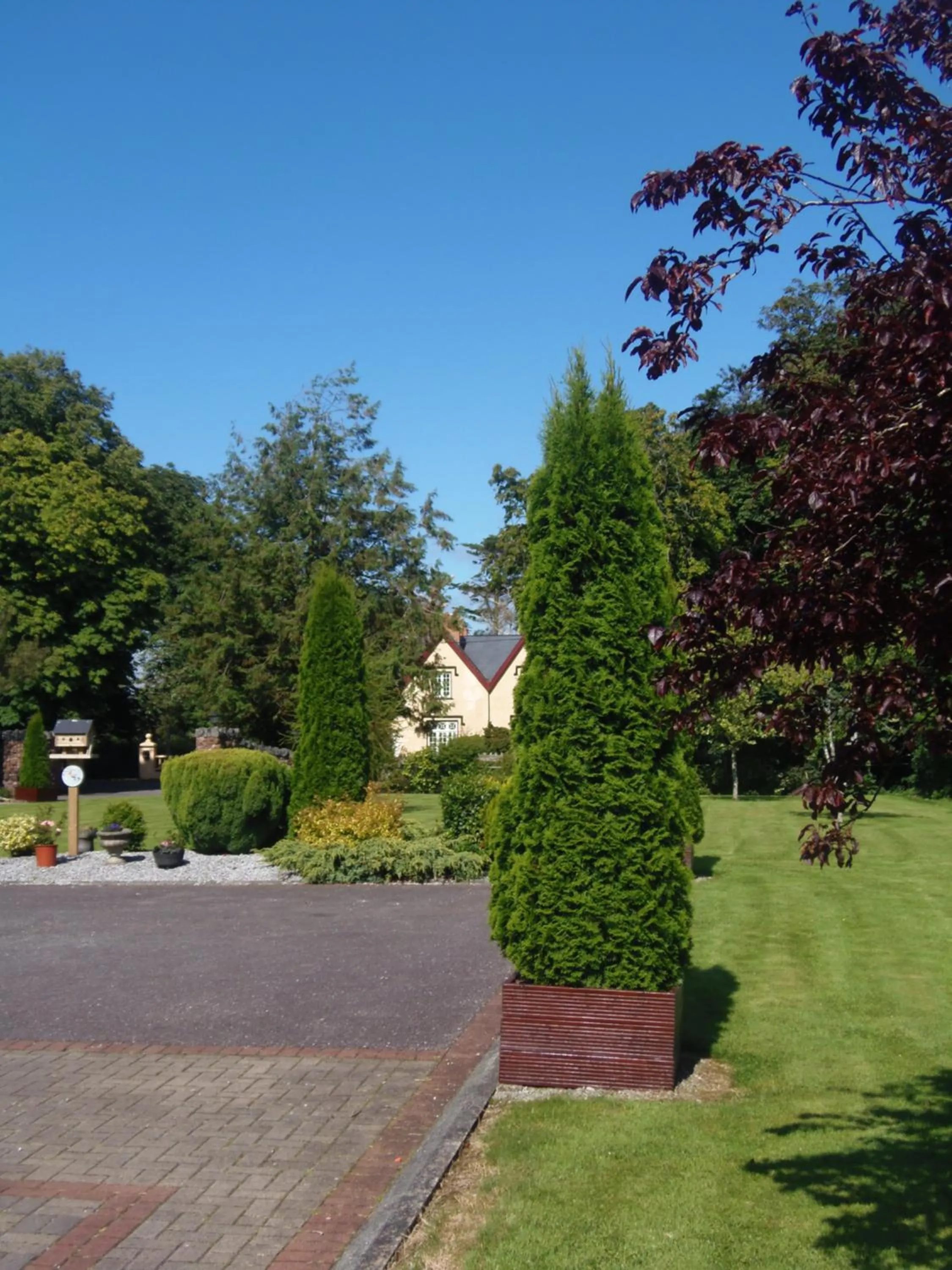 Garden view in Cloghan Lodge