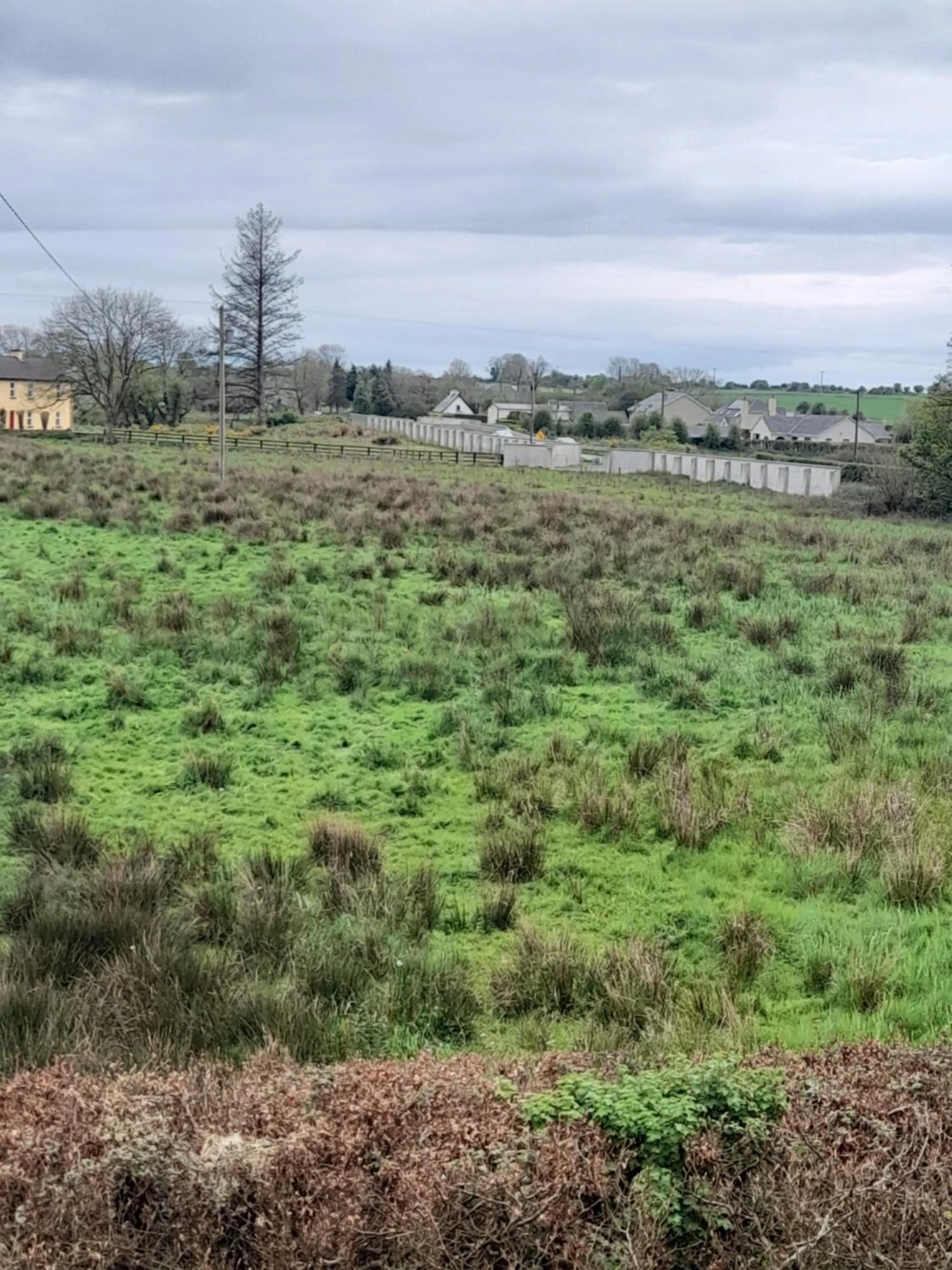 Natural landscape in Cloghan Lodge
