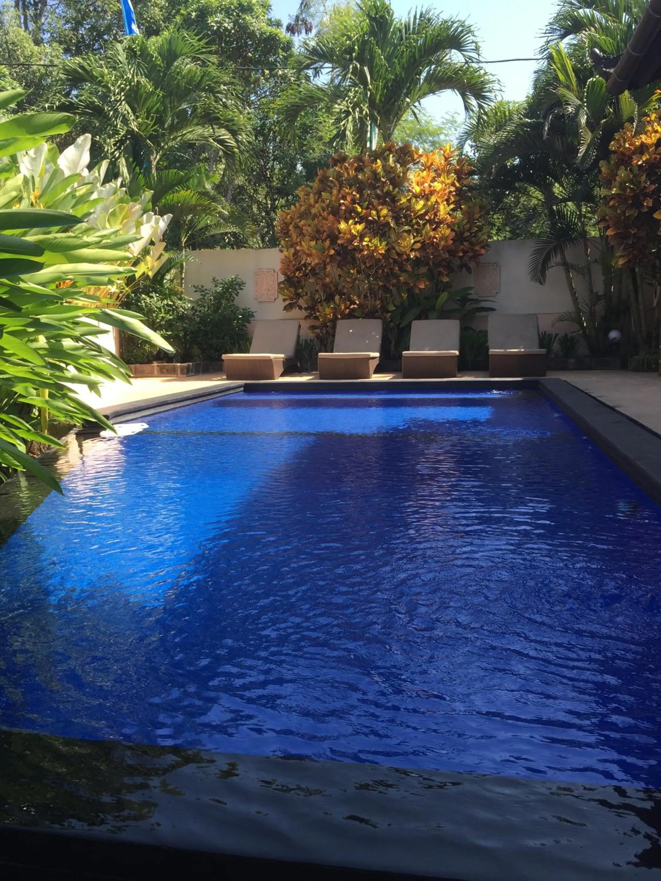 Pool view in Istana Balian - Boutique Hotel Resort