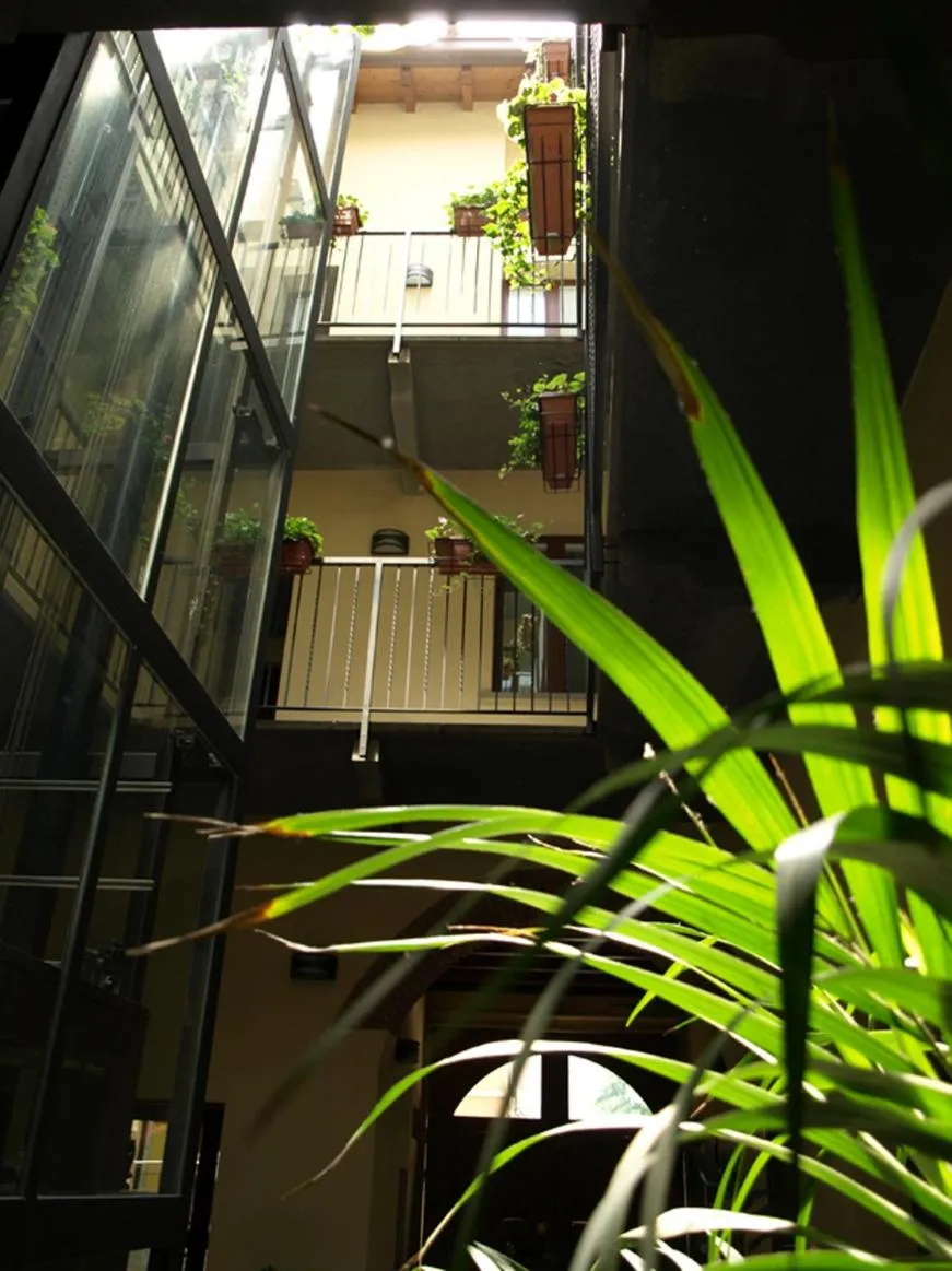 Area and facilities in Hotel Karol