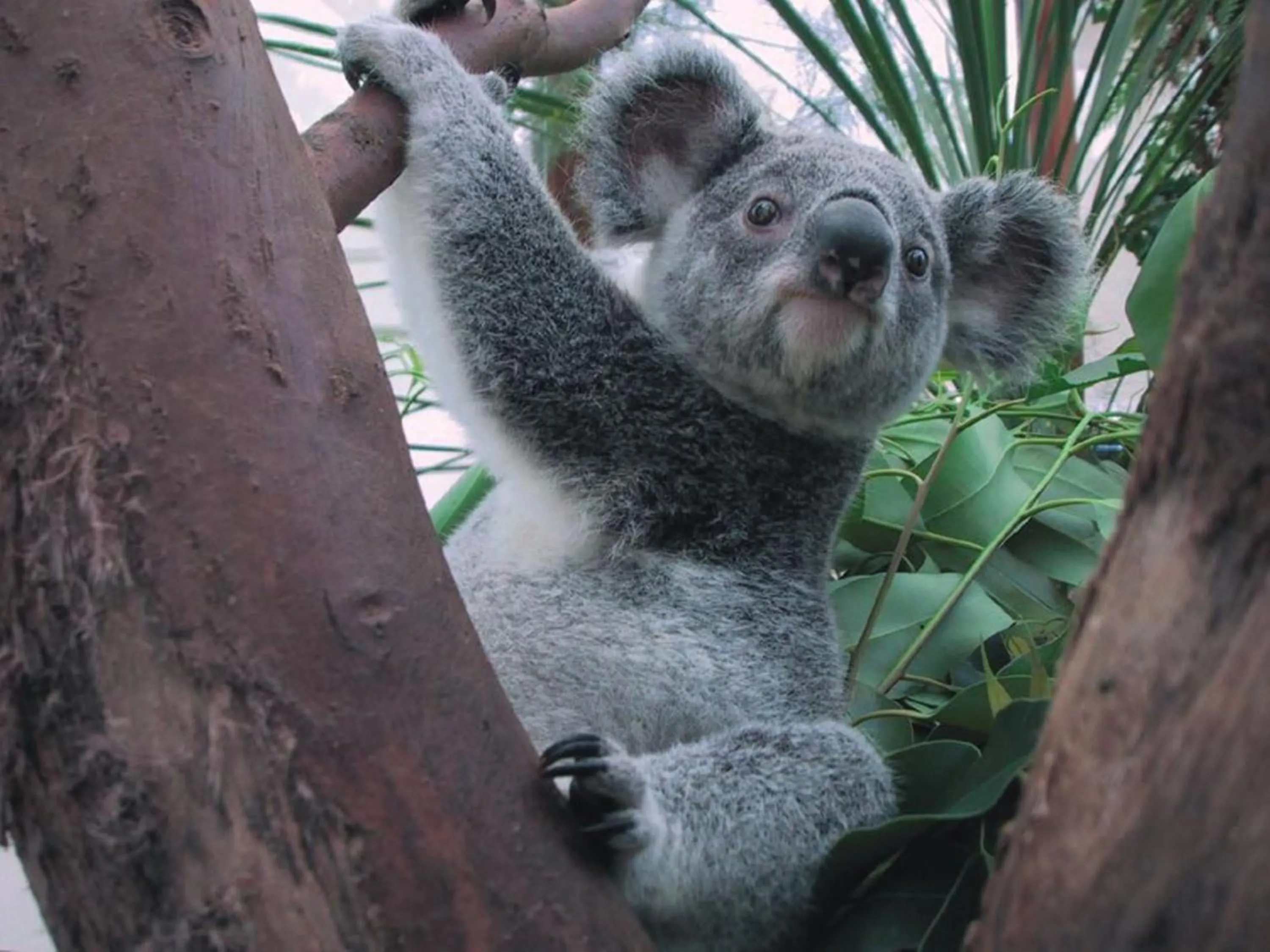 Nearby landmark in Holiday Inn Express Mechelen City Centre by IHG