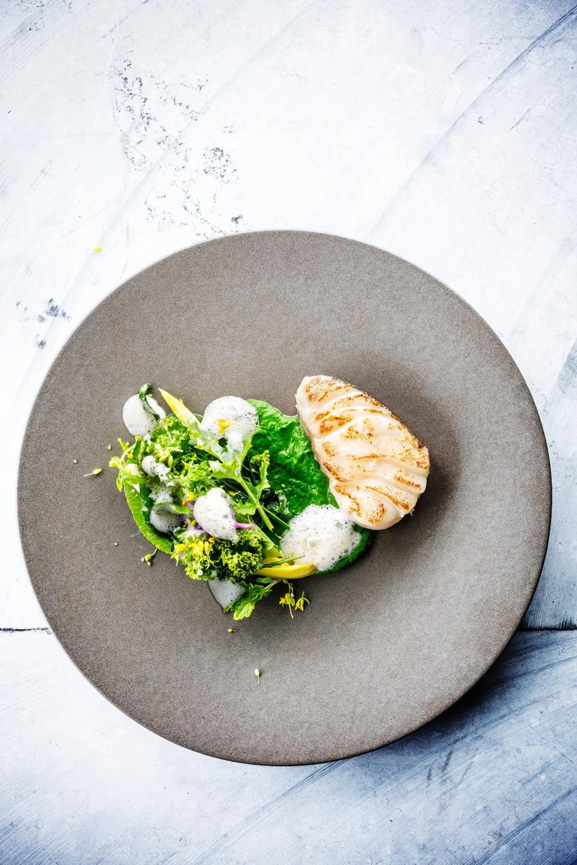 Meals in Hotel Damier Kortrijk