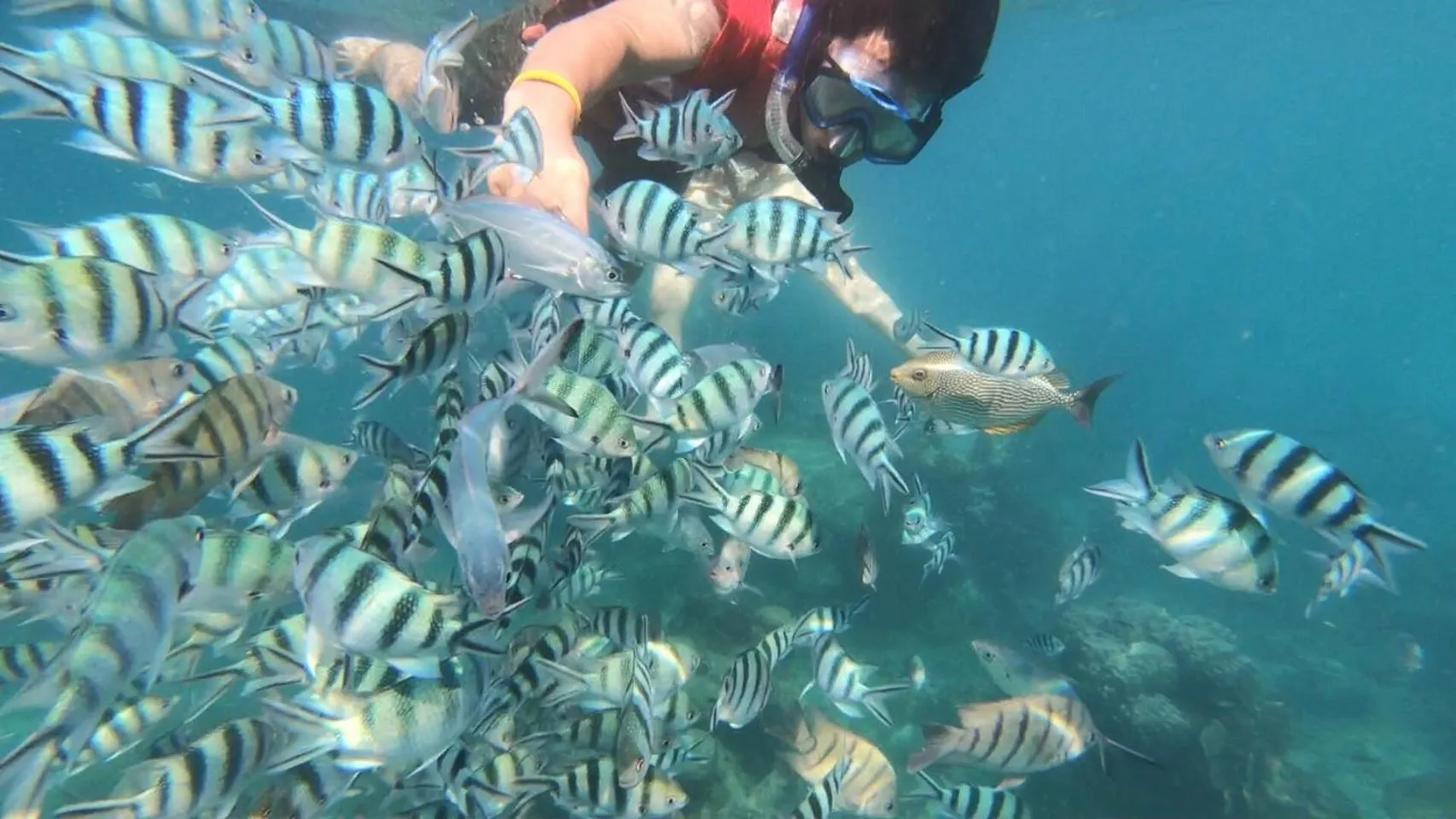 Snorkeling in Baan Chan Lay Koh Chang